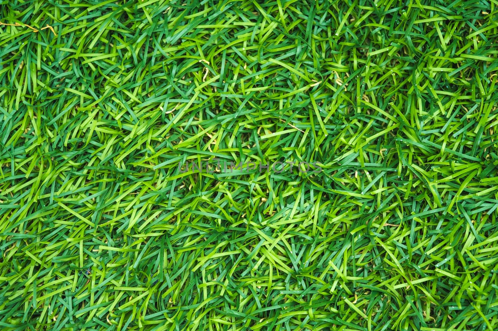 artificial lawn background with green grass texture close-up