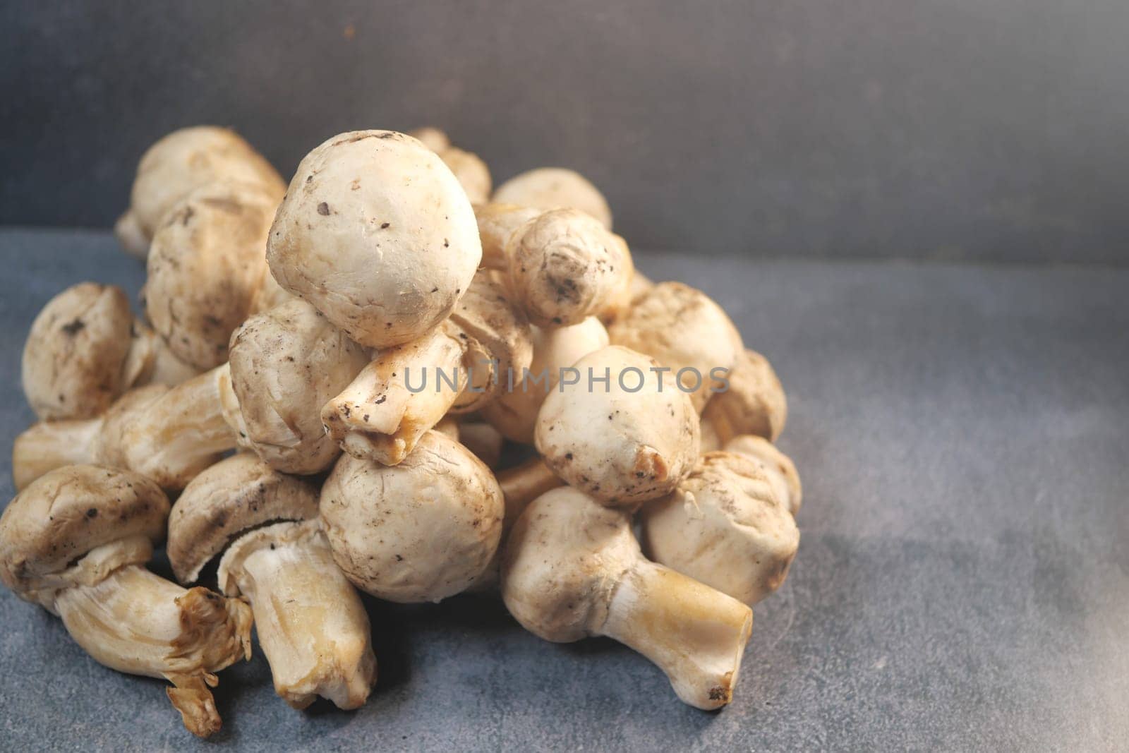 A collection of fresh white mushrooms piled on a gray surface.