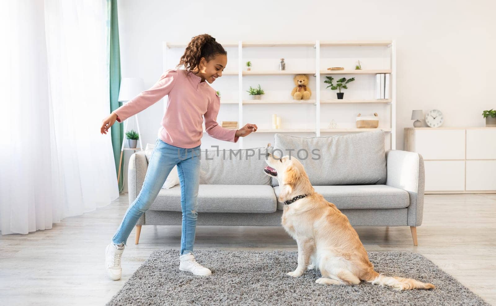 Dog Training Commands Concept. Positive black girl teaching pet at home in living room, playing with golden retriever and rewarding him with treats, standing indoors and giving animal food