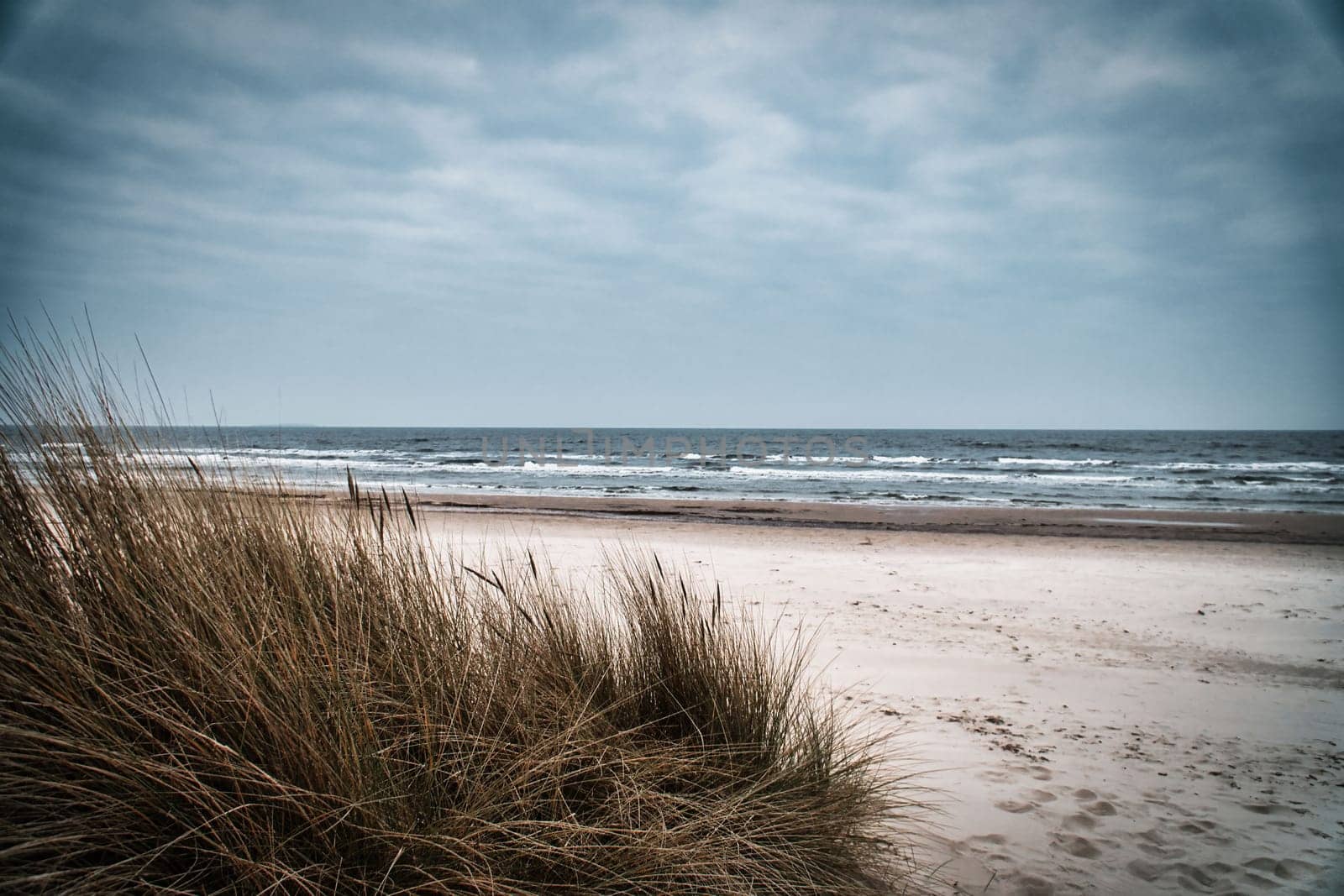 View over the dunes on the island of Usedom to the Baltic Sea. Dune grass and white sand. Nature photo