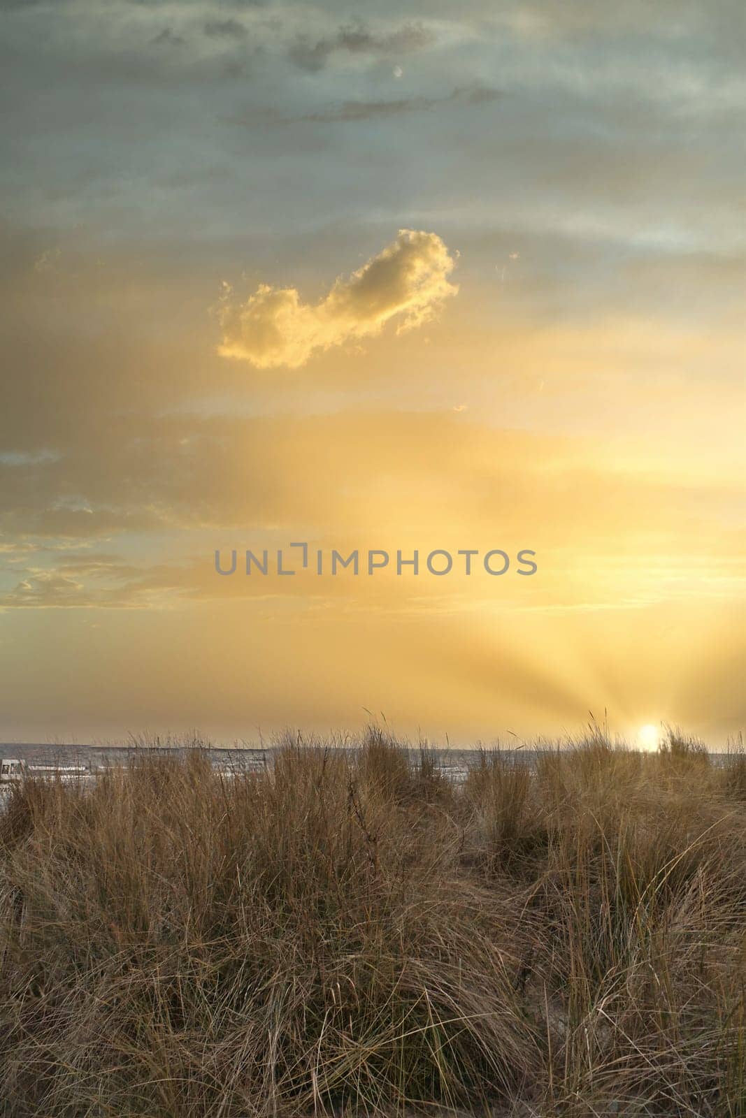 View over the dunes on the island of Usedom to the Baltic Sea. Dune grass and clouds. Nature photo from the coast