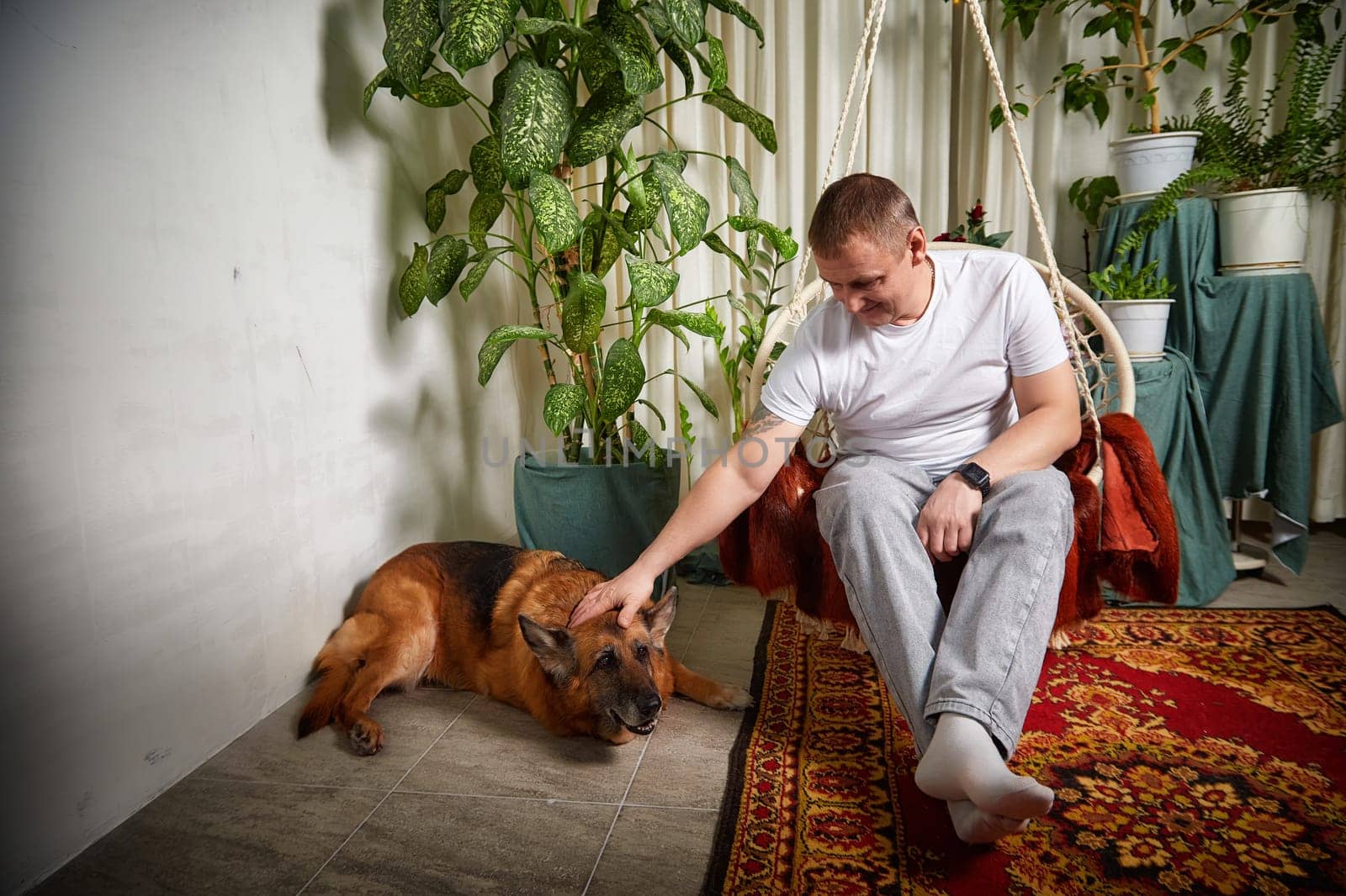 A man relaxes in a hanging chair while petting his German Shepherd in a warm and inviting indoor area filled with plants.