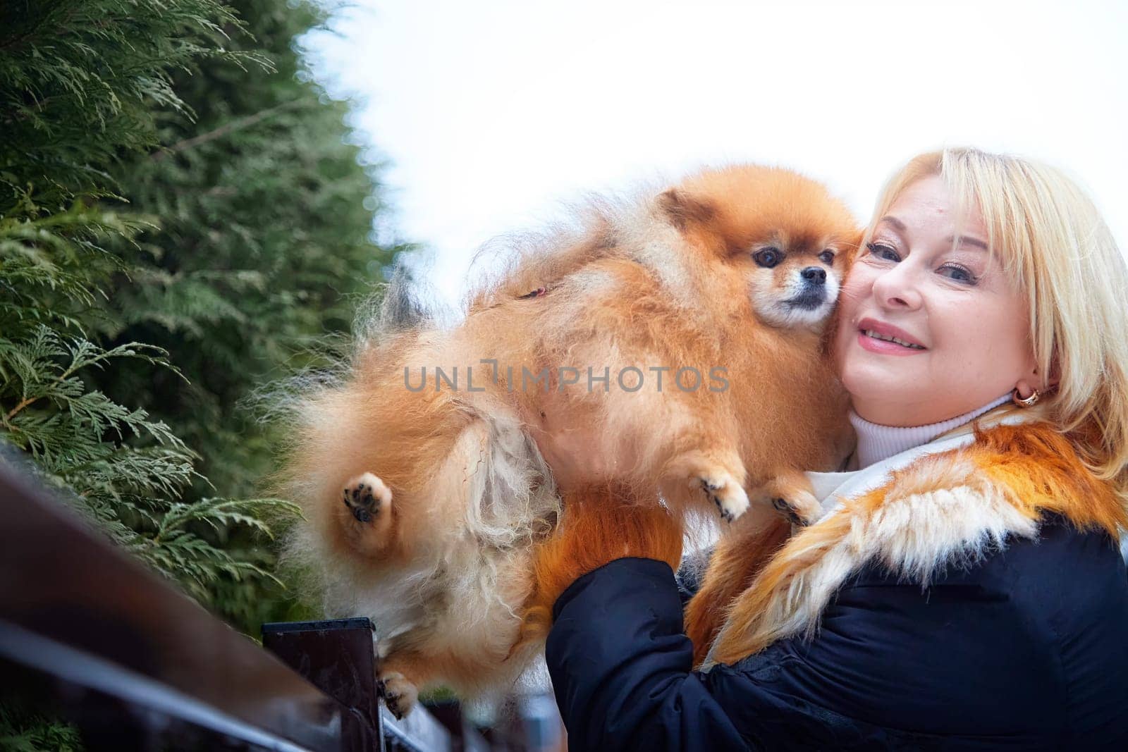 A woman enjoys a winter walk, lovingly holding her fluffy Pomeranian dog against a snowy backdrop.