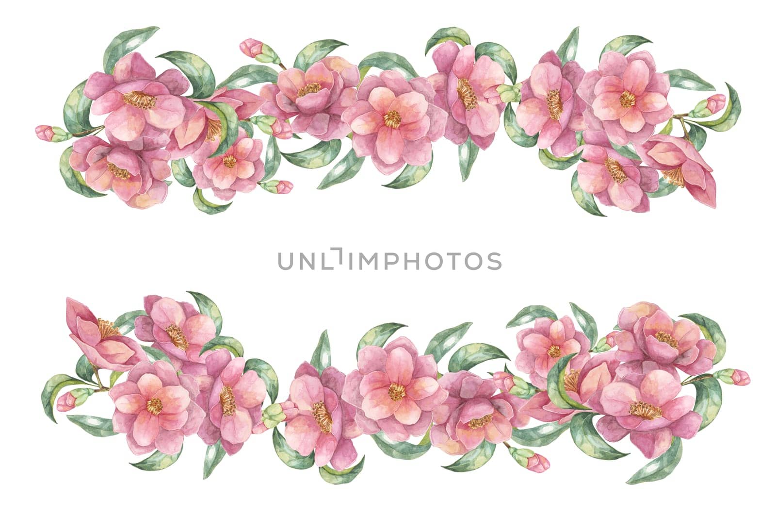 Arrangement of pink camellia flowers and green leaves forming a rectangular frame. Watercolor clipart with two floral borders for decorating invitations, announcements, or packaging
