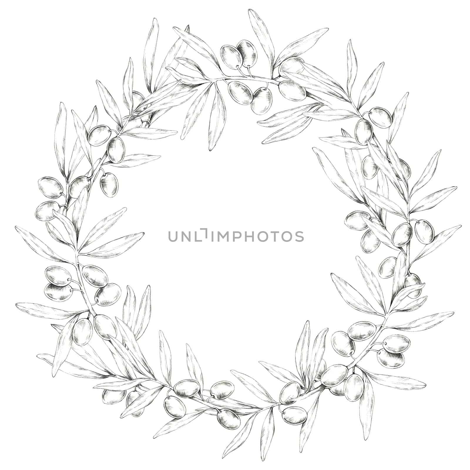 Round wreath made of olive branches, showcasing intricately detailed olives and leaves. Pencil drawing clipart for wedding invites, save the date, packaging of premium olive oil, organic cosmetics