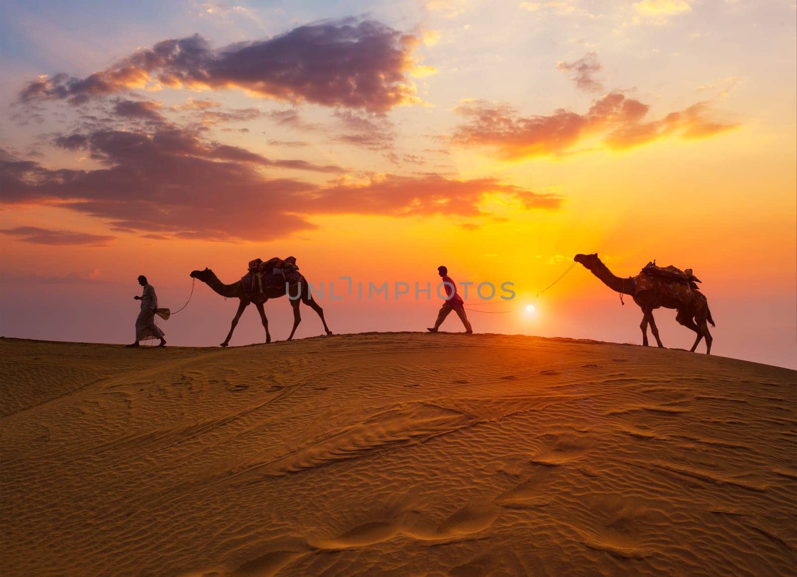 Indian cameleers camel drivers bedouin with camel silhouettes in sand dunes of Thar desert on sunset. Caravan in Rajasthan travel tourism background safari adventure. Jaisalmer, Rajasthan, India