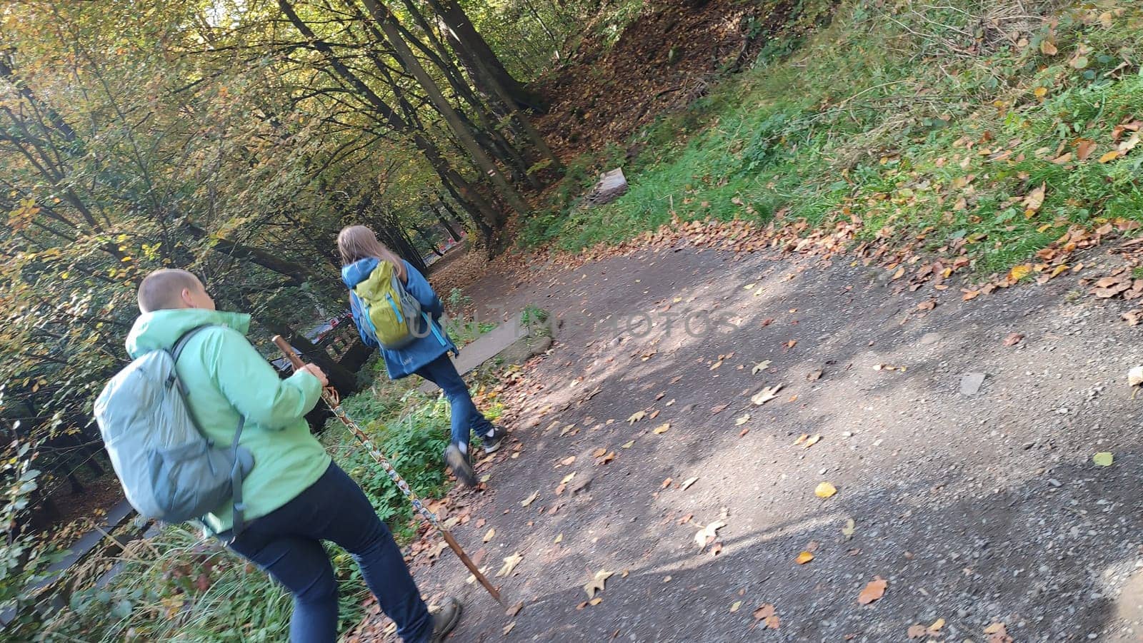 October 17 2024 Hrensko Czech Republic Europe Hikers forest path people travel tourists tourism summer day park shotlisttravel nature reserve road green . High quality photo