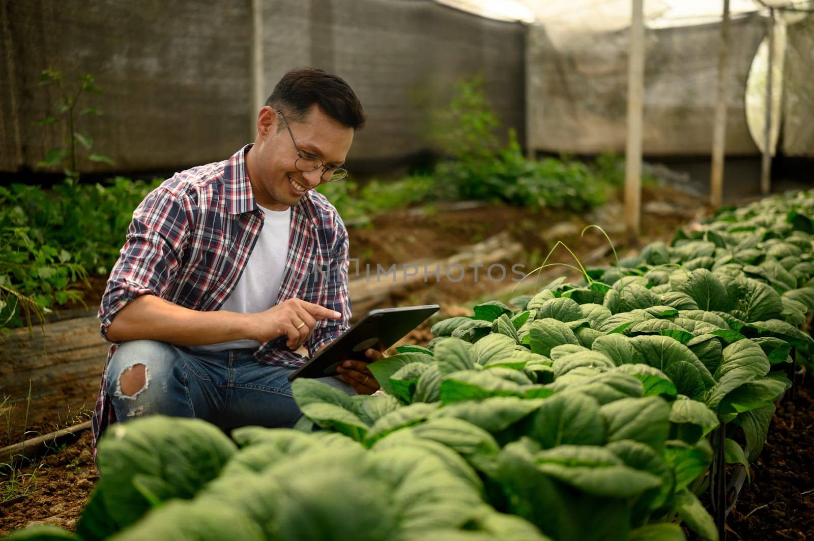 Smiling farmer kneels in a greenhouse while using digital tablet to monitor crop growth.