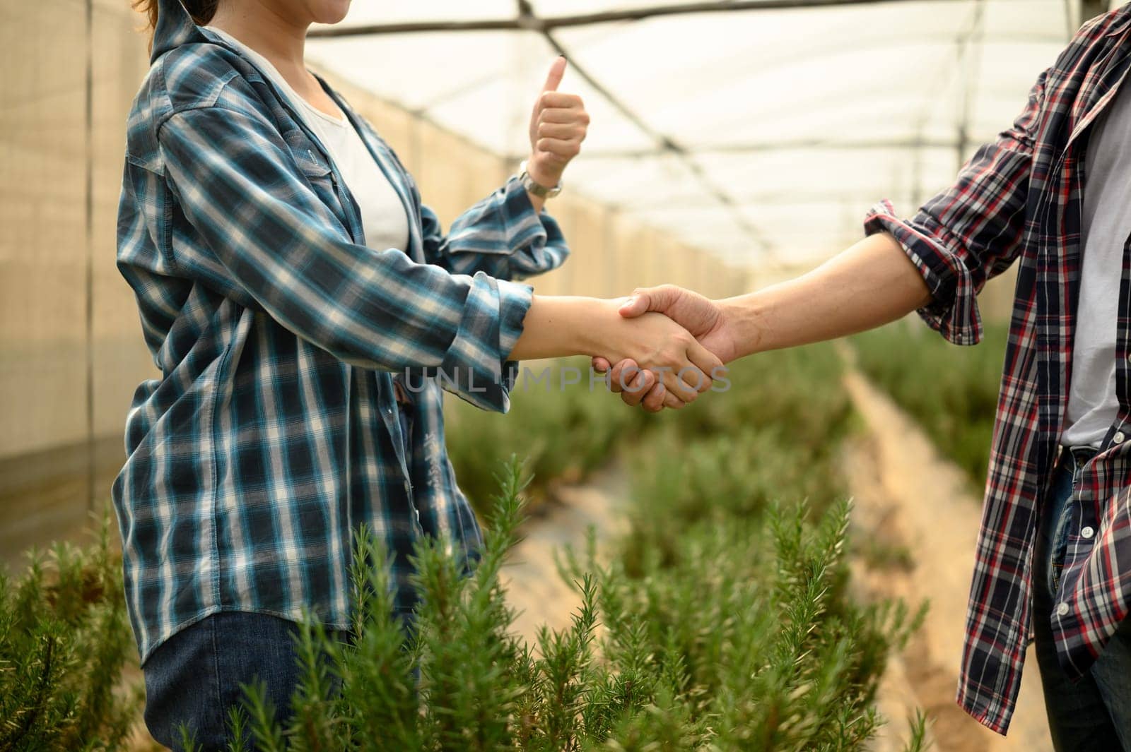 Two farmers shaking hands inside a greenhouse, marking successful deal or cooperation in farming.