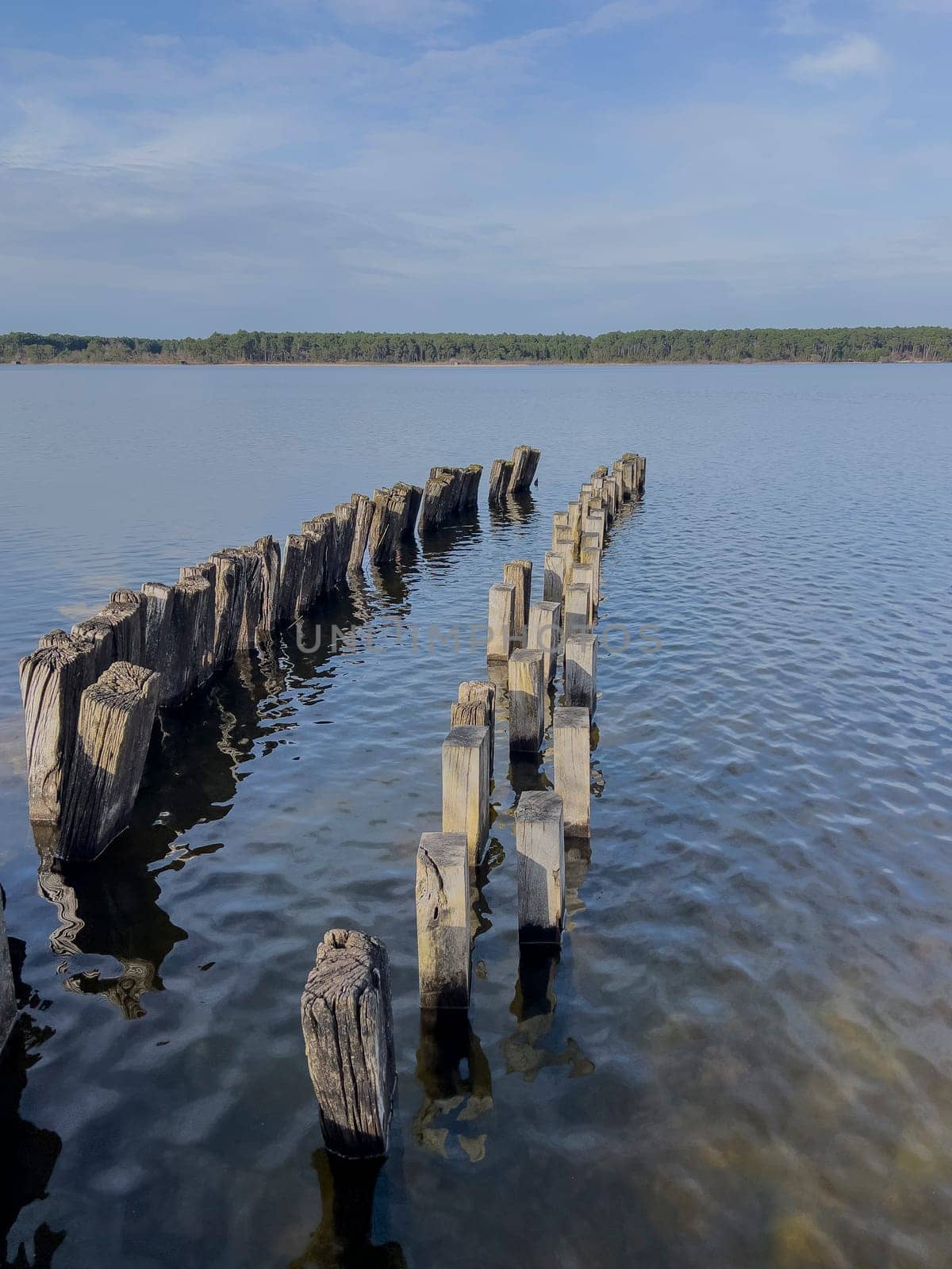 Weathered wooden pilings create a striking pattern in the tranquil waters of Lac Sanguinet, framed by lush greenery and a bright blue sky, inviting visitors to explore the natural beauty.