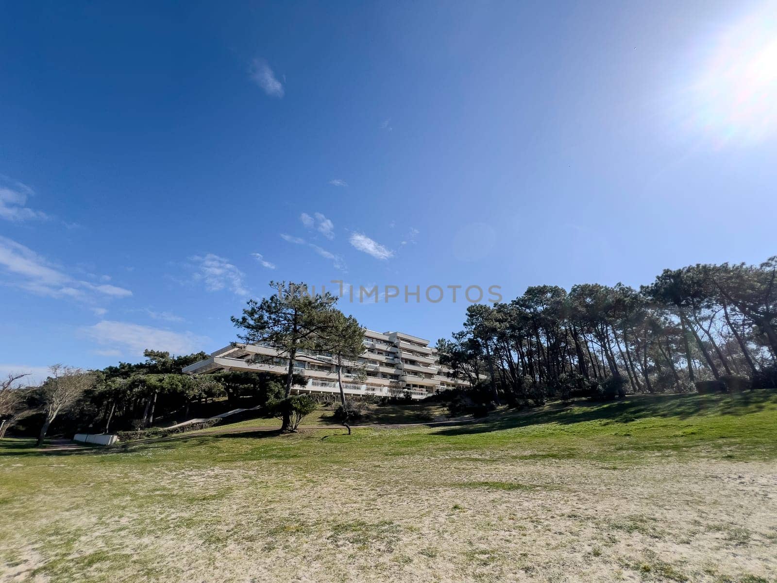 Modern residential architecture surrounded by lush pine trees at Arcachon Plage Pereire, revealing a tranquil atmosphere against a clear blue sky. Ideal for leisurely living.