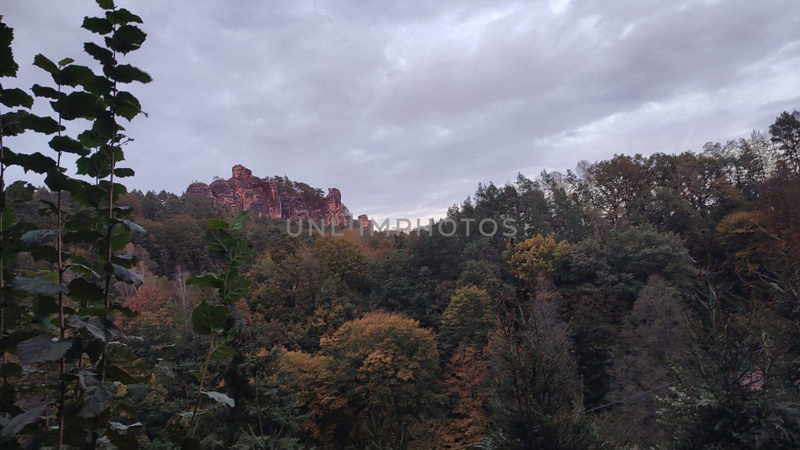 Rugged forest landscape shotlisttravel travel nature trees background sky autumn . High quality photo