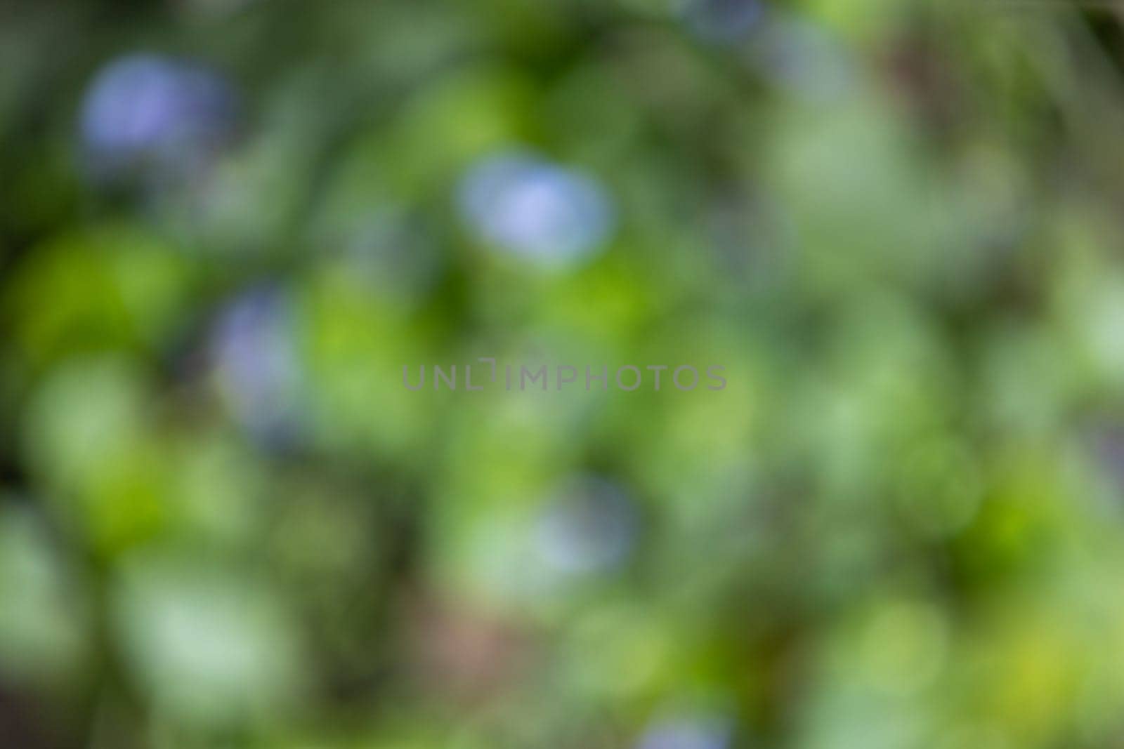 Blurred green and blue colors blend together, creating a serene and tranquil atmosphere, perfect for backgrounds and design projects