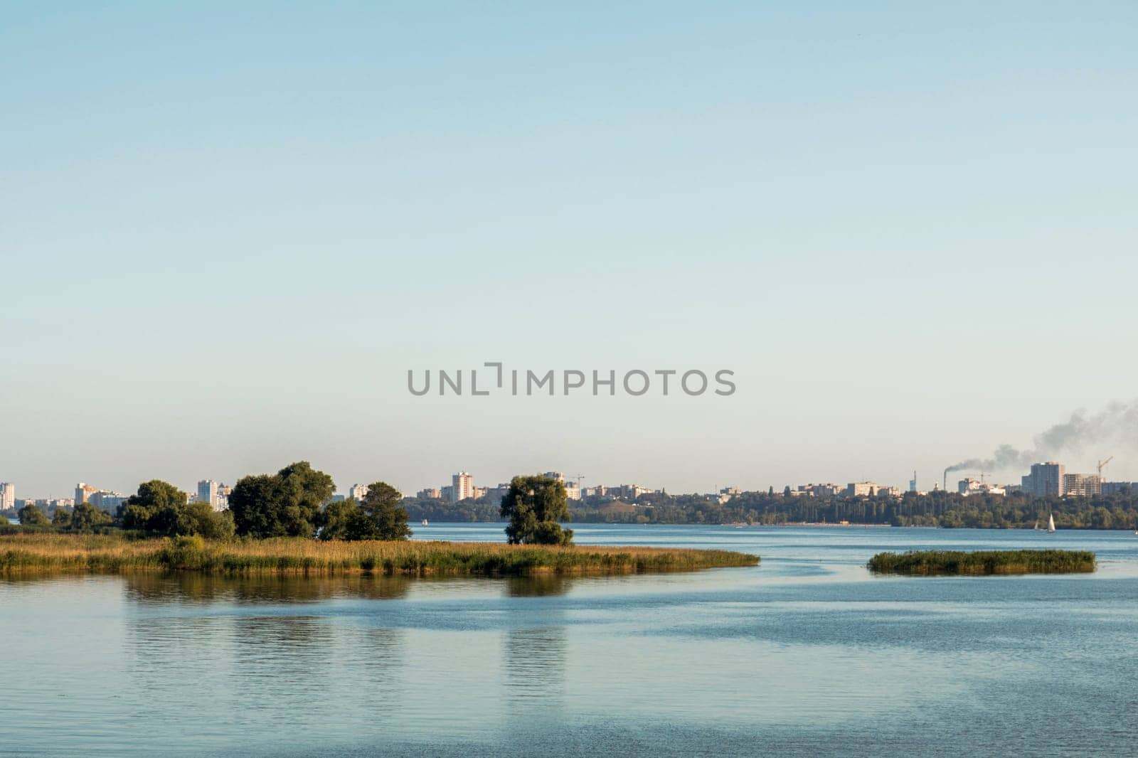 Lush vegetation growing on islets in the middle of a river with a cityscape in the distance under a clear sky