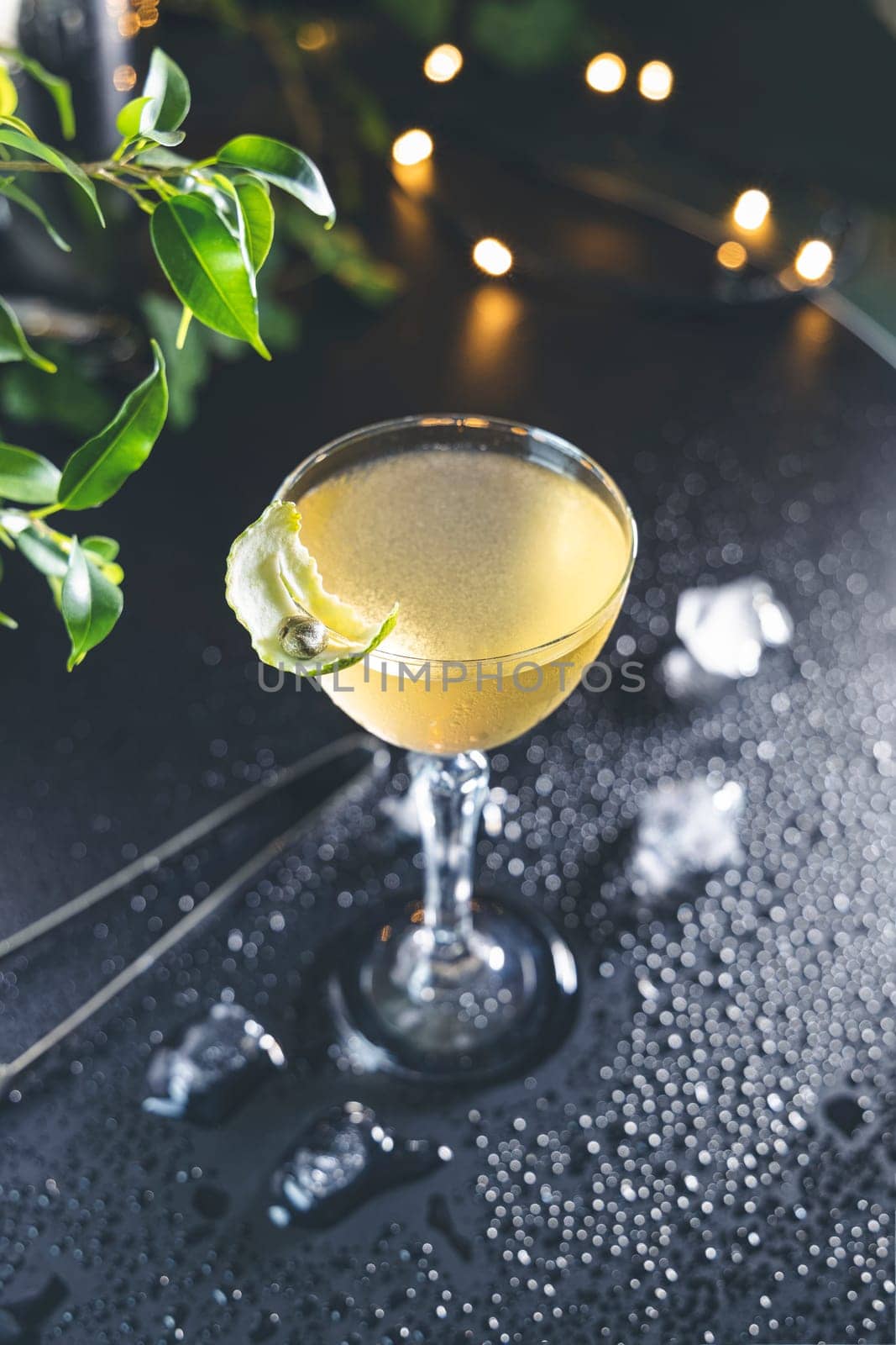 Elegant coupe glass filled with bright yellow cocktail, garnished with a lime twist, sits on a dark, wet bar top, illuminated by warm string lights