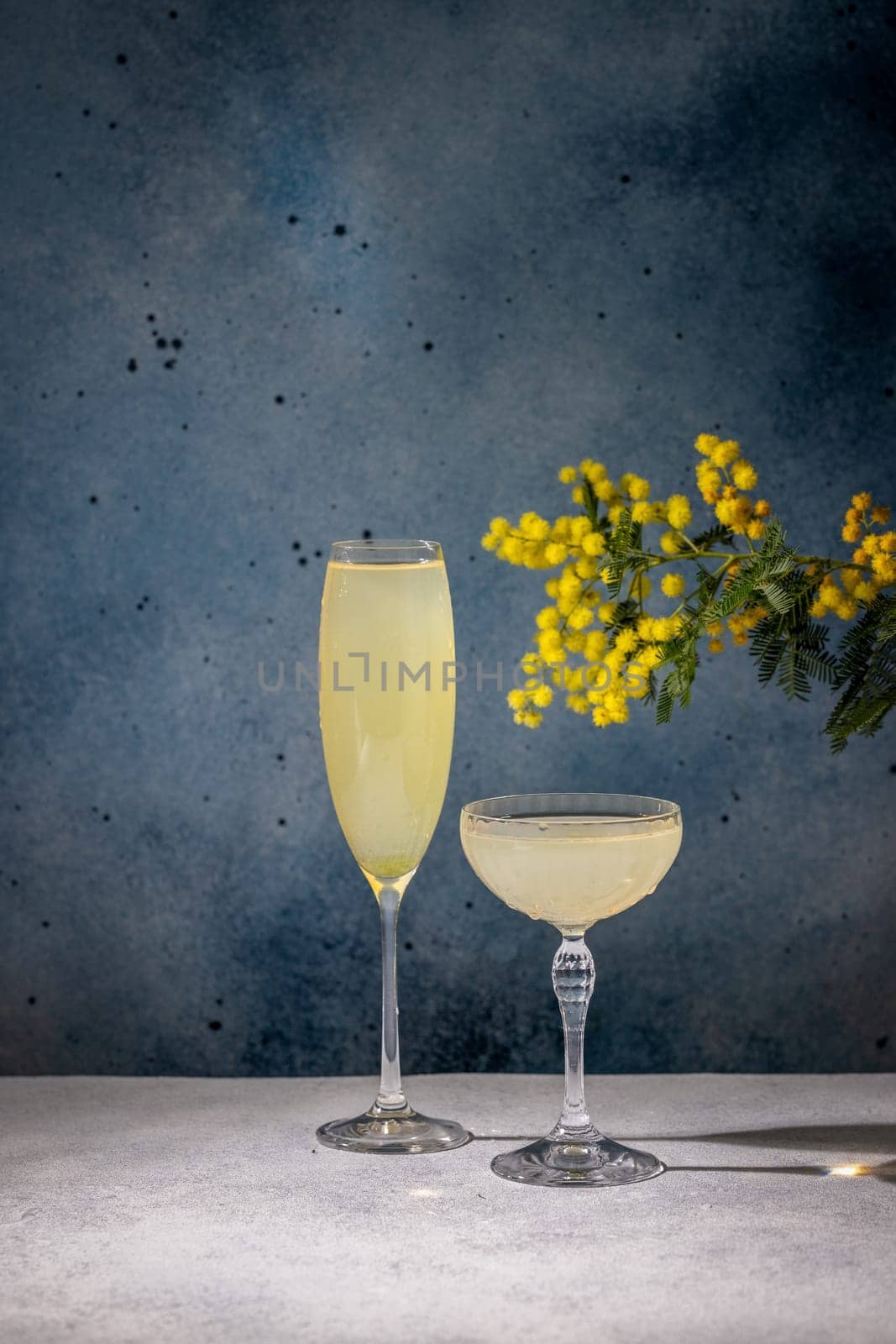 Two glasses of mimosa cocktail are garnished with mimosa flowers on a gray table against a blue background, celebrating the arrival of spring