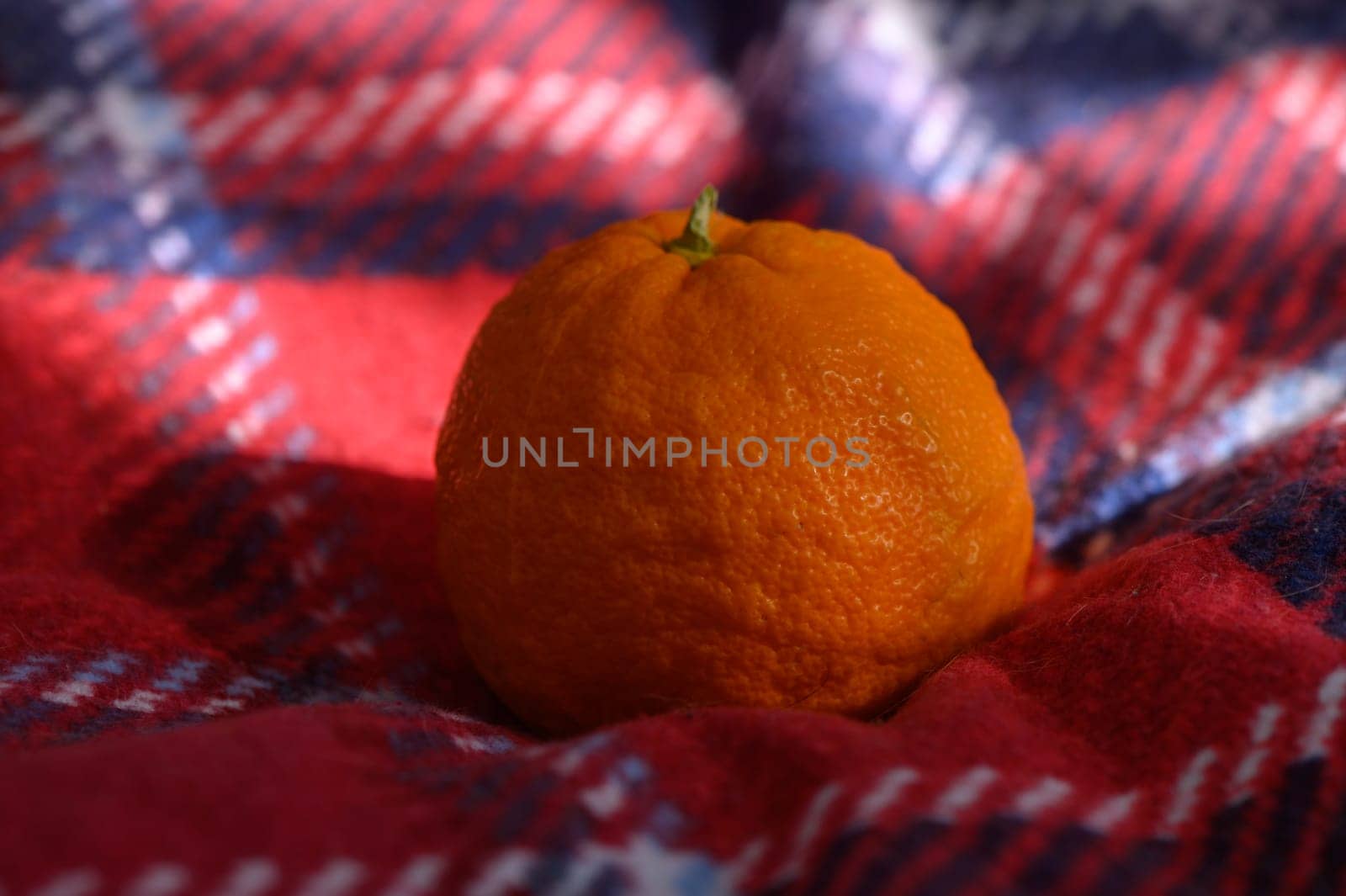 A bright orange sits quietly on a warm plaid blanket, basking in gentle sunlight, evoking a sense of comfort.