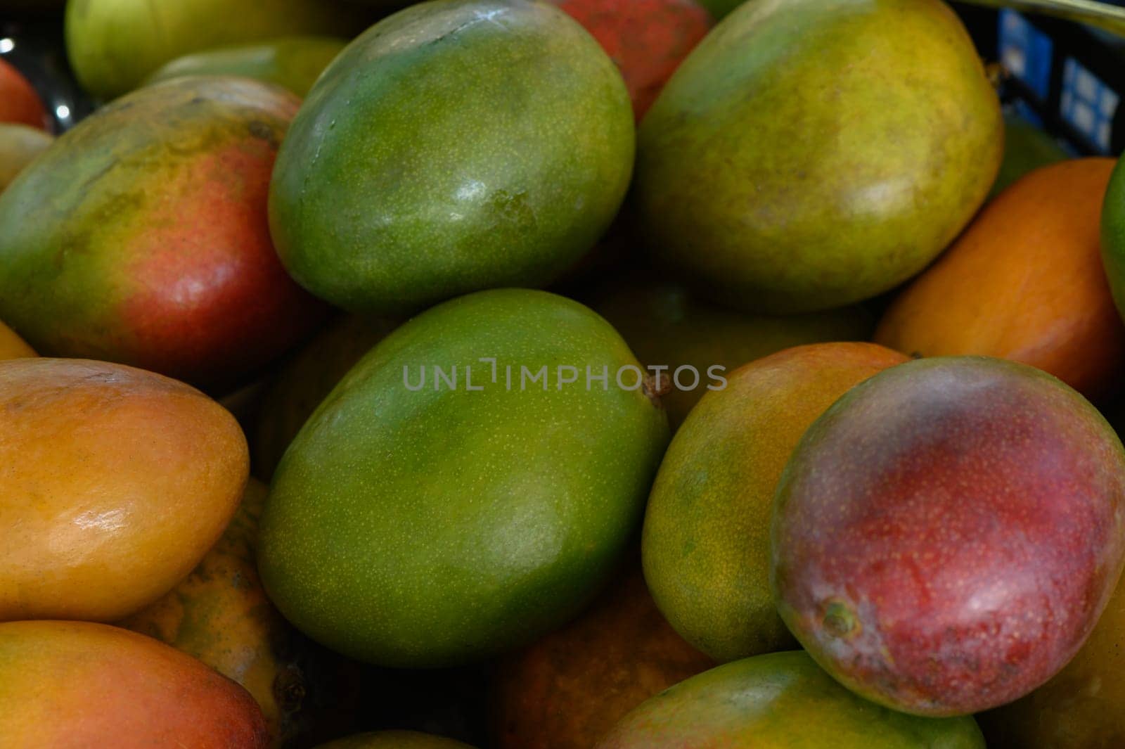 A lively selection of ripe mangoes in various shades of green, yellow, and red fills a display at a local market. The tropical fruits create an inviting and colorful atmosphere.