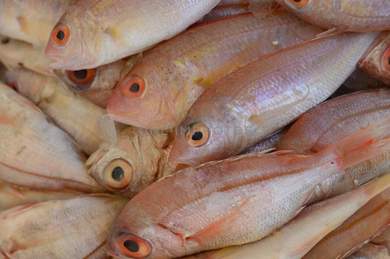 A vibrant array of freshly caught fish lies atop each other at a local market, showcasing stunning colors and intricate details. The bustling atmosphere captures the essence of coastal life.