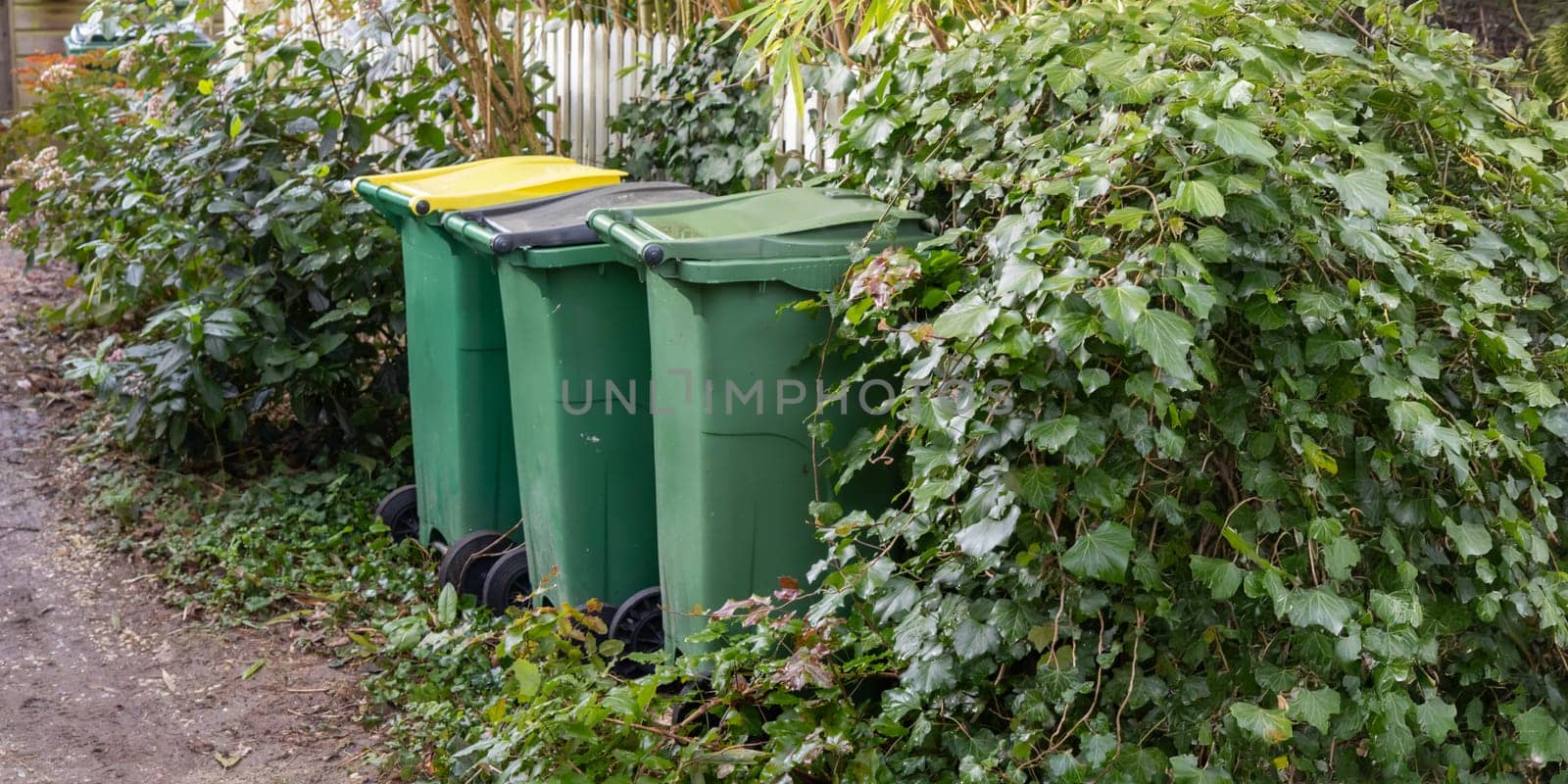 Different colored waste bins are neatly arranged along the side of a residential street. These containers include black, green, blue, and yellow bins for recycling and waste disposal.