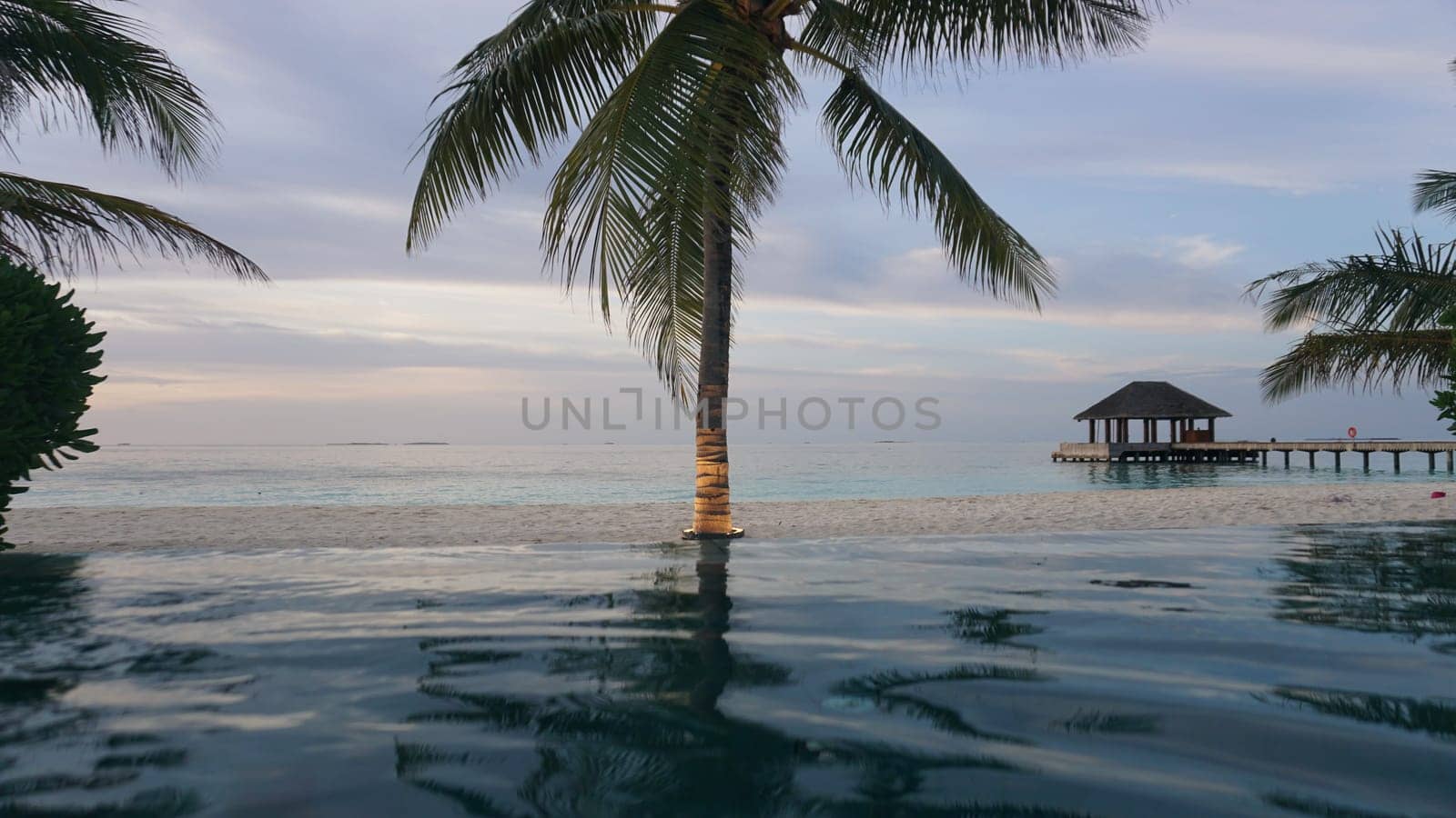 Palm trees framing an infinity pool overlooking a tranquil white sand beach with overwater bungalow at sunset in the maldives, creating a serene and luxurious tropical paradise