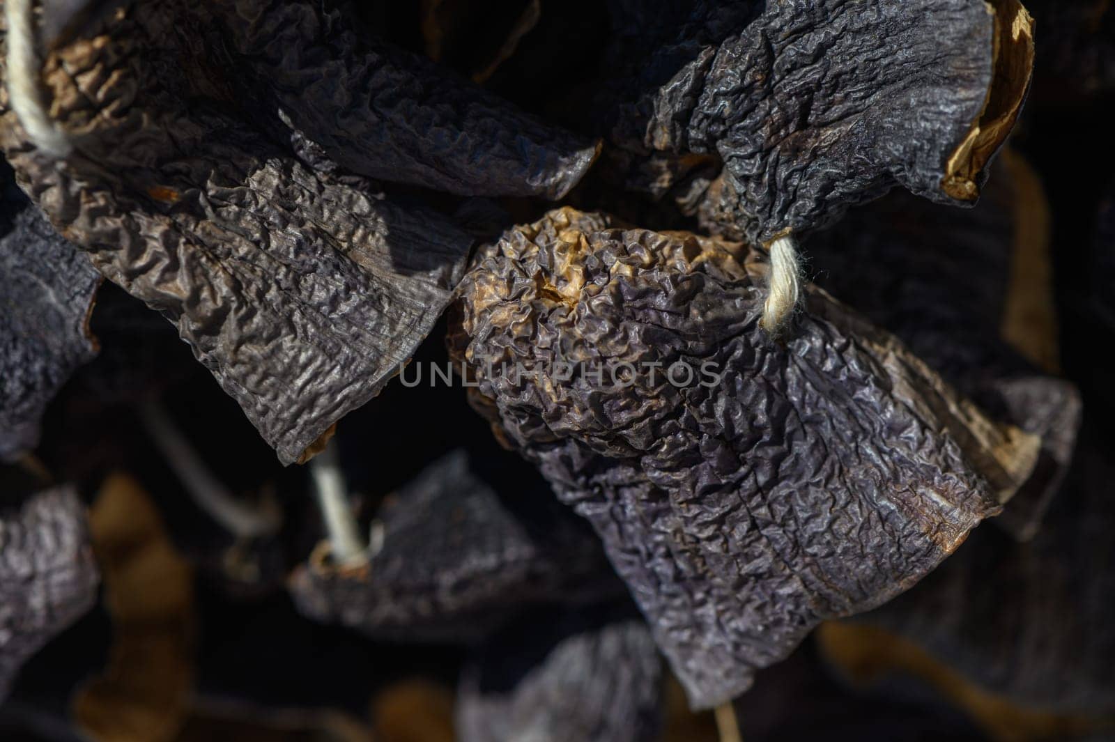 Delicate and weathered petals bask in warm sunlight, resting atop a rough, textured wooden surface. Their rich colors and intricate shadows tell stories of past blooms and faded beauty.