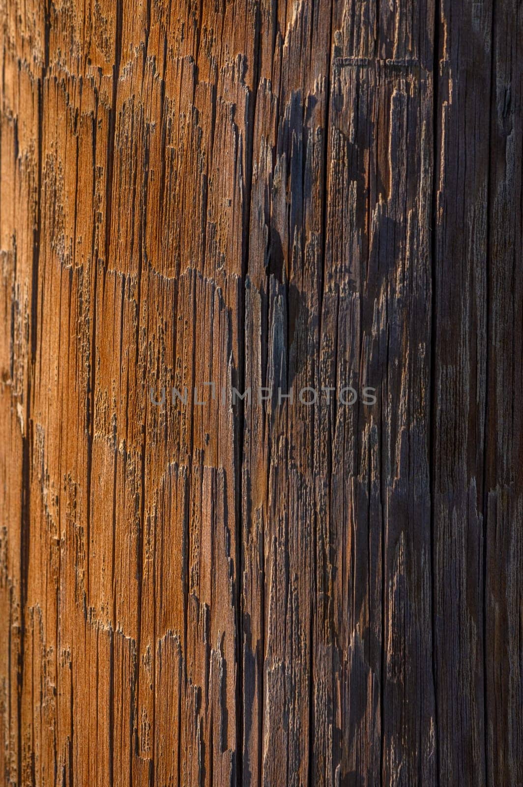 Sunlight glints off a weathered wooden pole, highlighting its intricate textures and colors at dusk, evoking serenity.