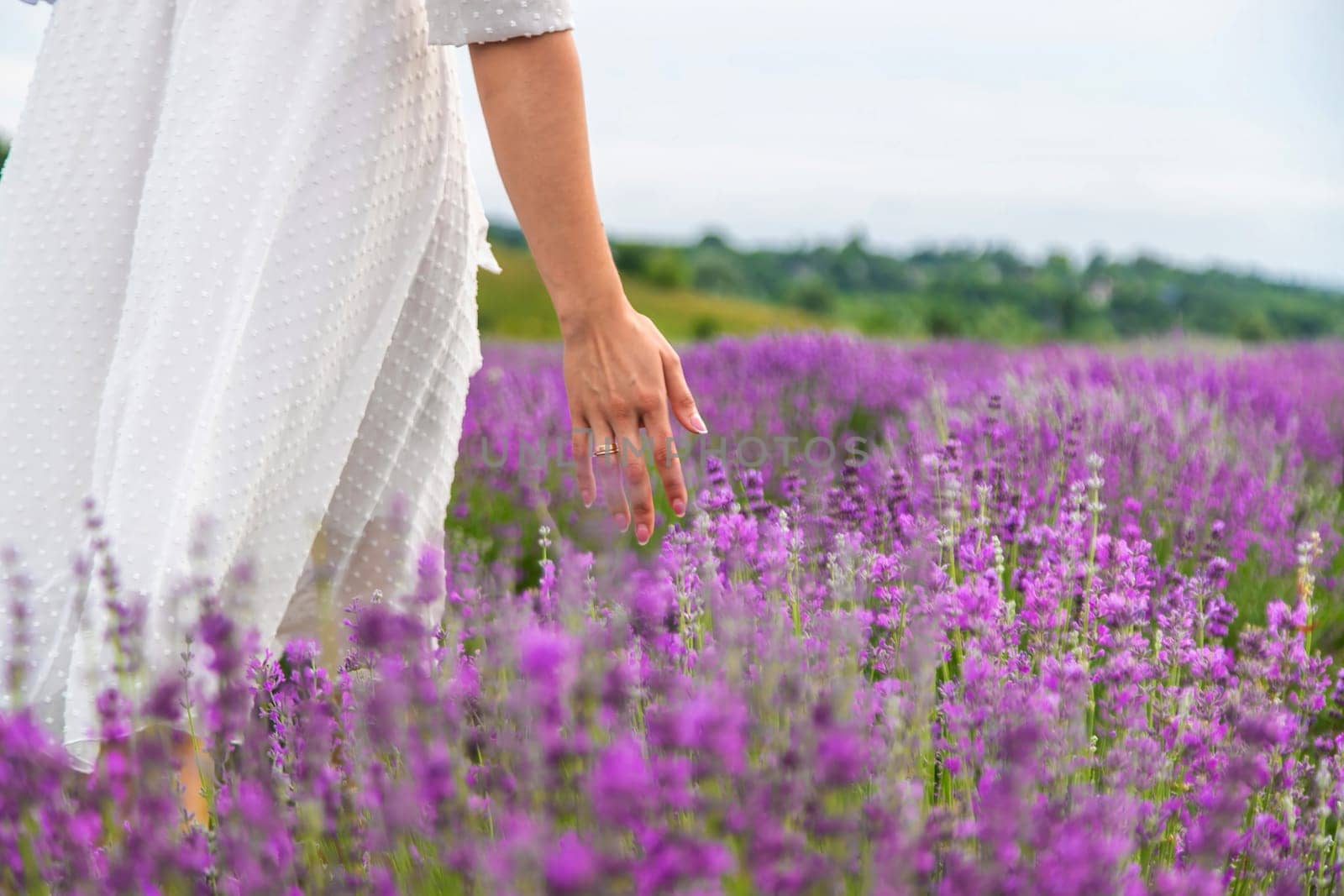 Woman's hand gently touching lavender flowers