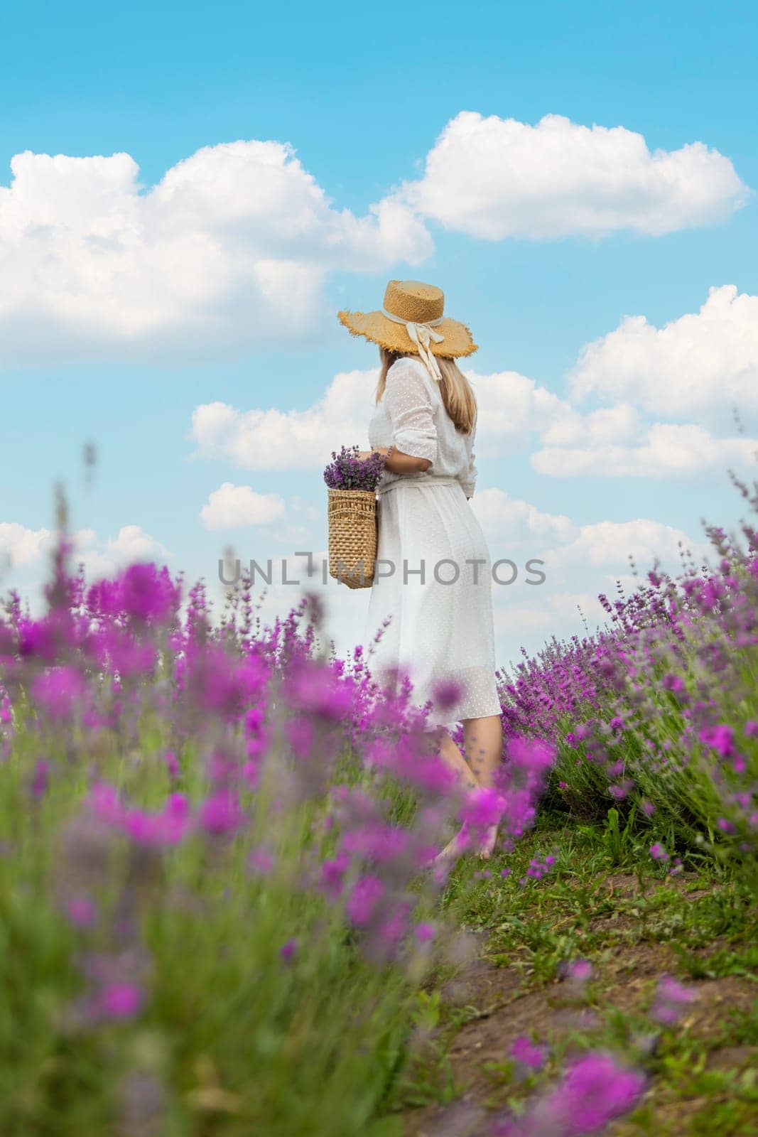 Woman lavender field. Happy carefree woman in white dress walking through lavender field