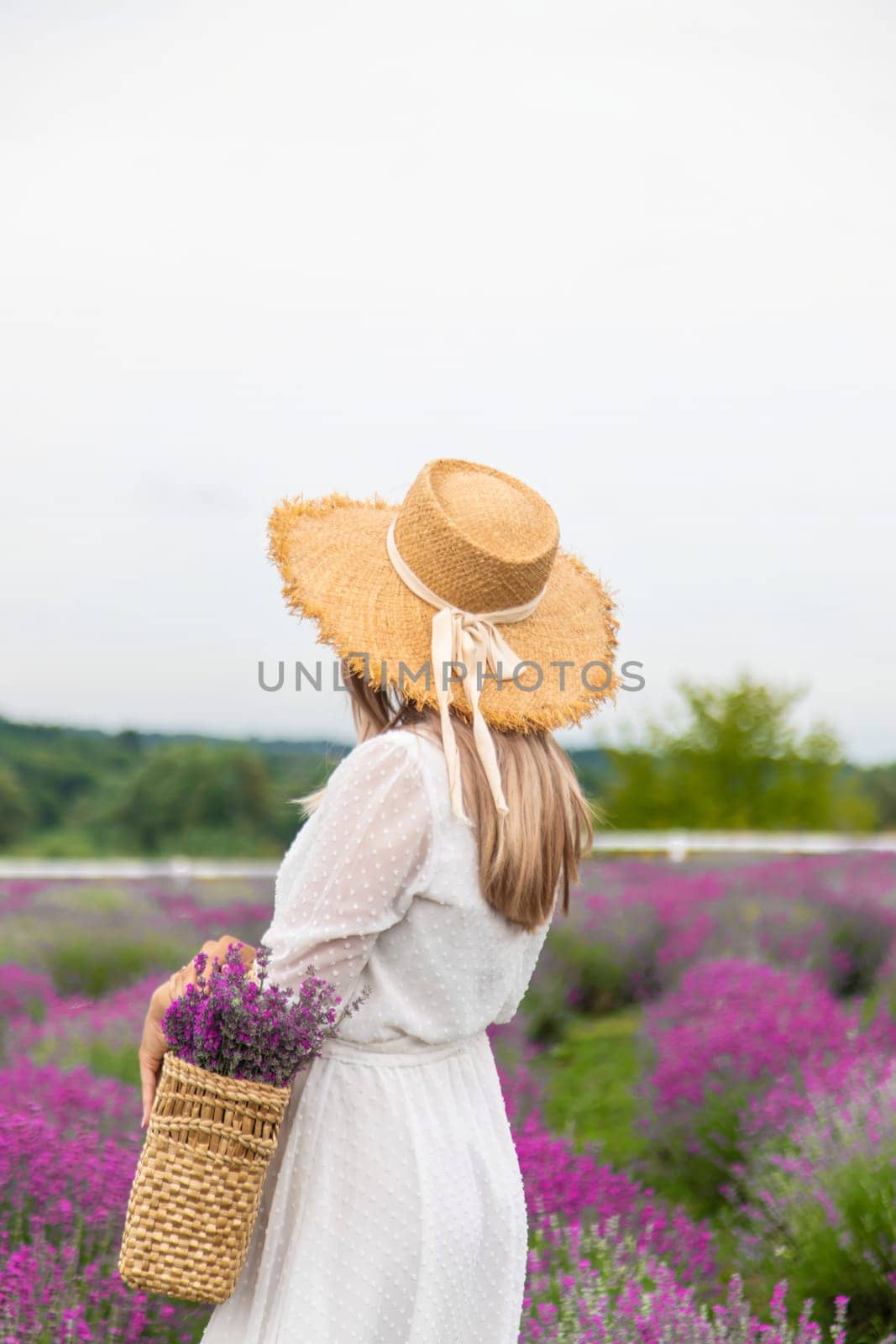Woman lavender field. Happy carefree woman in white dress walking through lavender field