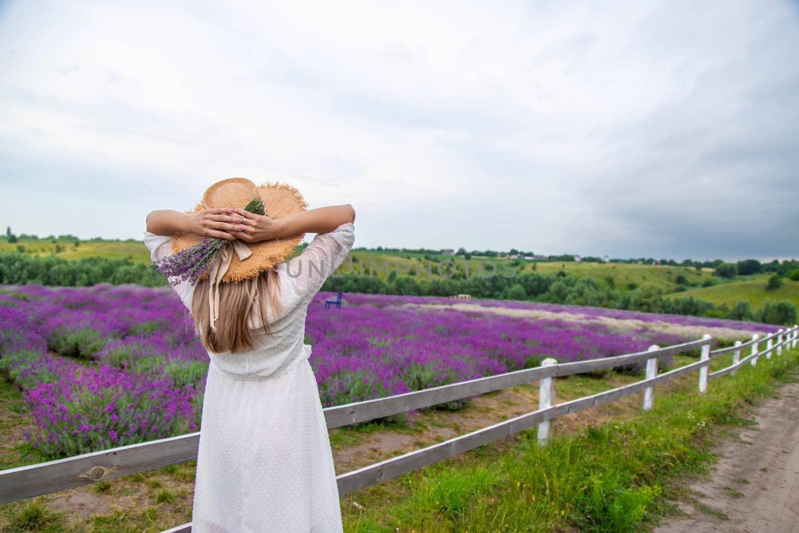 Woman in lavender field. Happy carefree woman in white dress and straw hat walking through lavender field