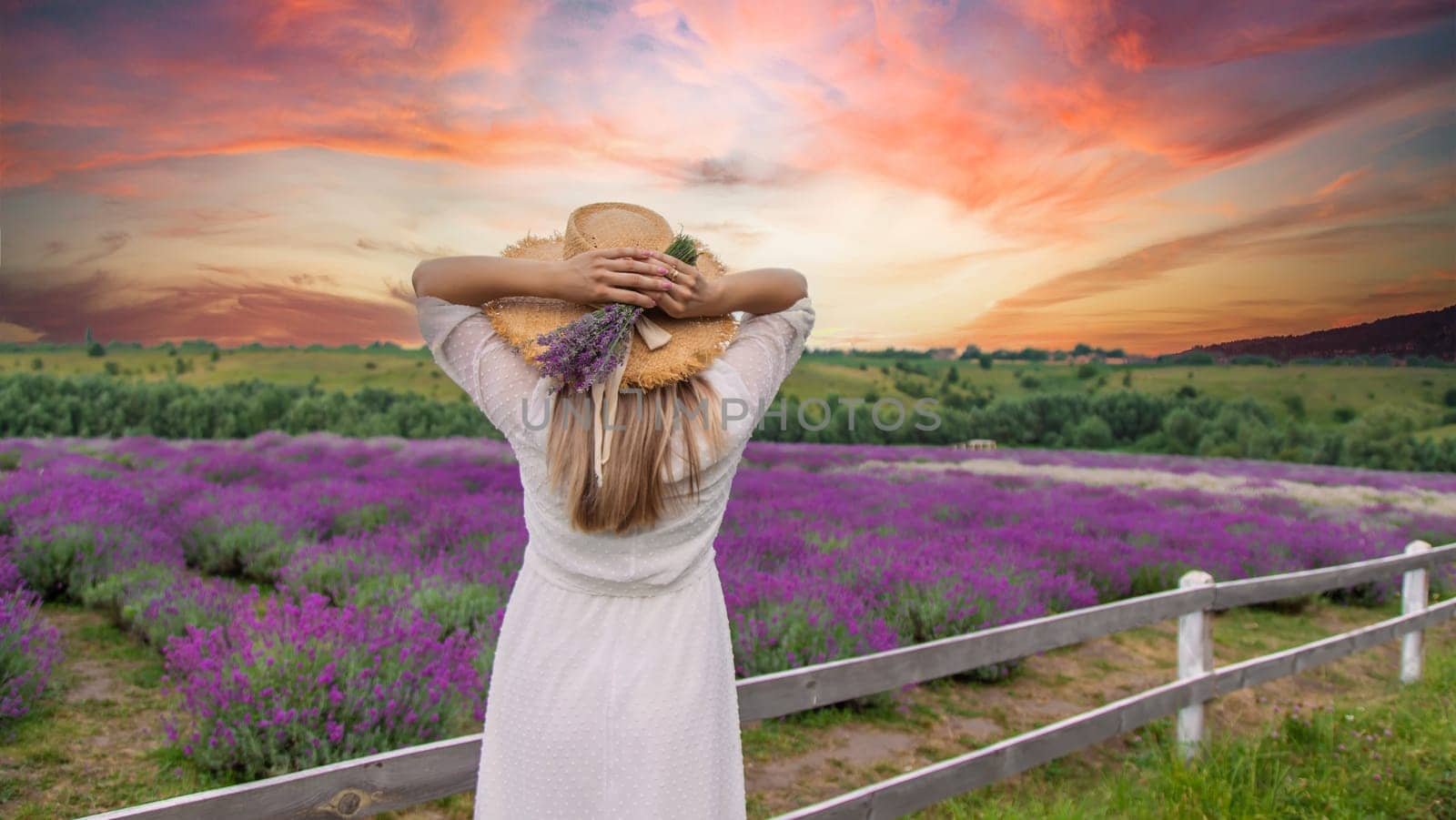 Woman in lavender field. Happy carefree woman in white dress and straw hat walking through lavender field