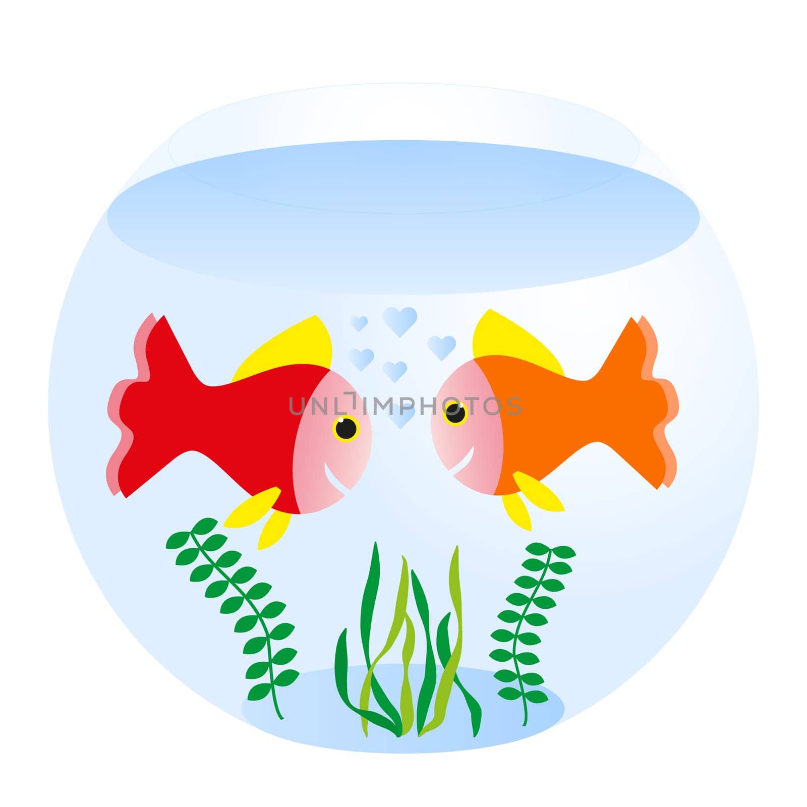 two loving fishes swim in round sea aquarium