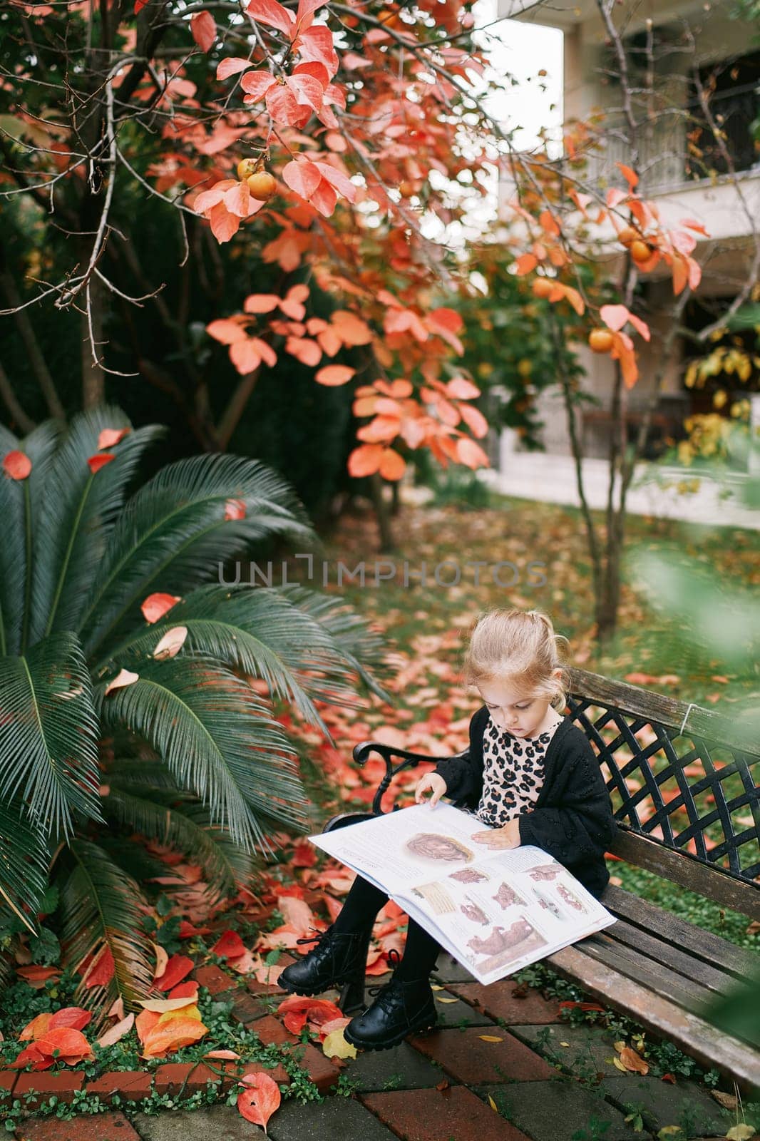 Little girl reading a picture book while sitting on a bench in an autumn park. High quality photo