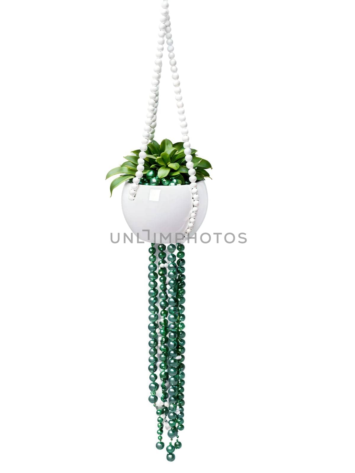 String of Pearls in a hanging white ceramic planter, cascading round green beads, isolated in motion on transparent.