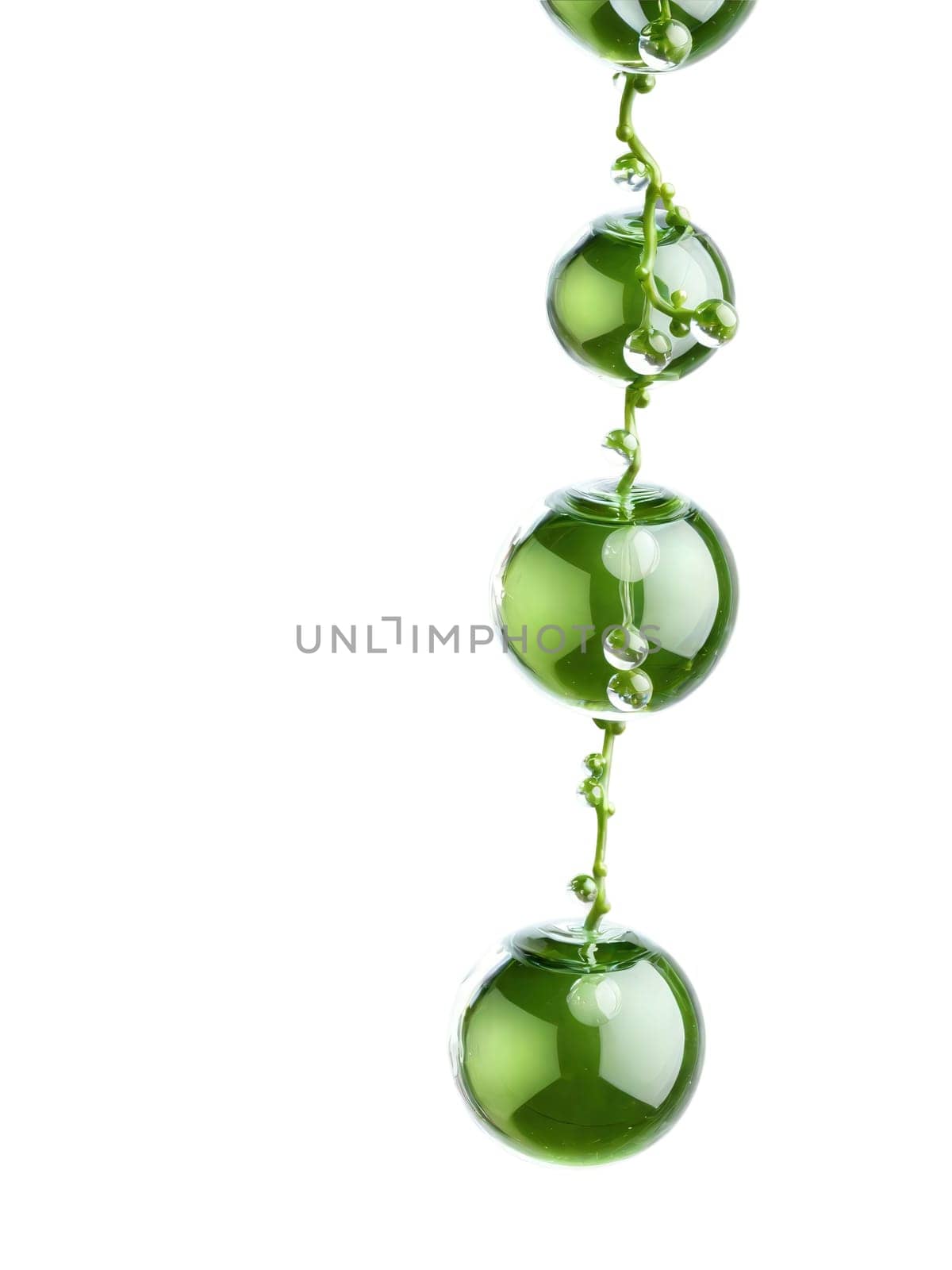 String of pearls vine, cascading green spheres, gentle drift motion, crystal clear focus, product shot