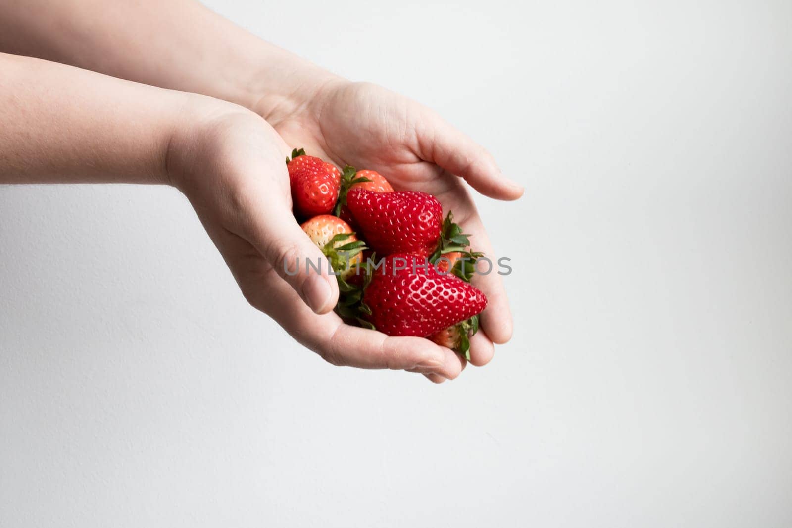 Caucasian hands holding ripe strawberries against light background.