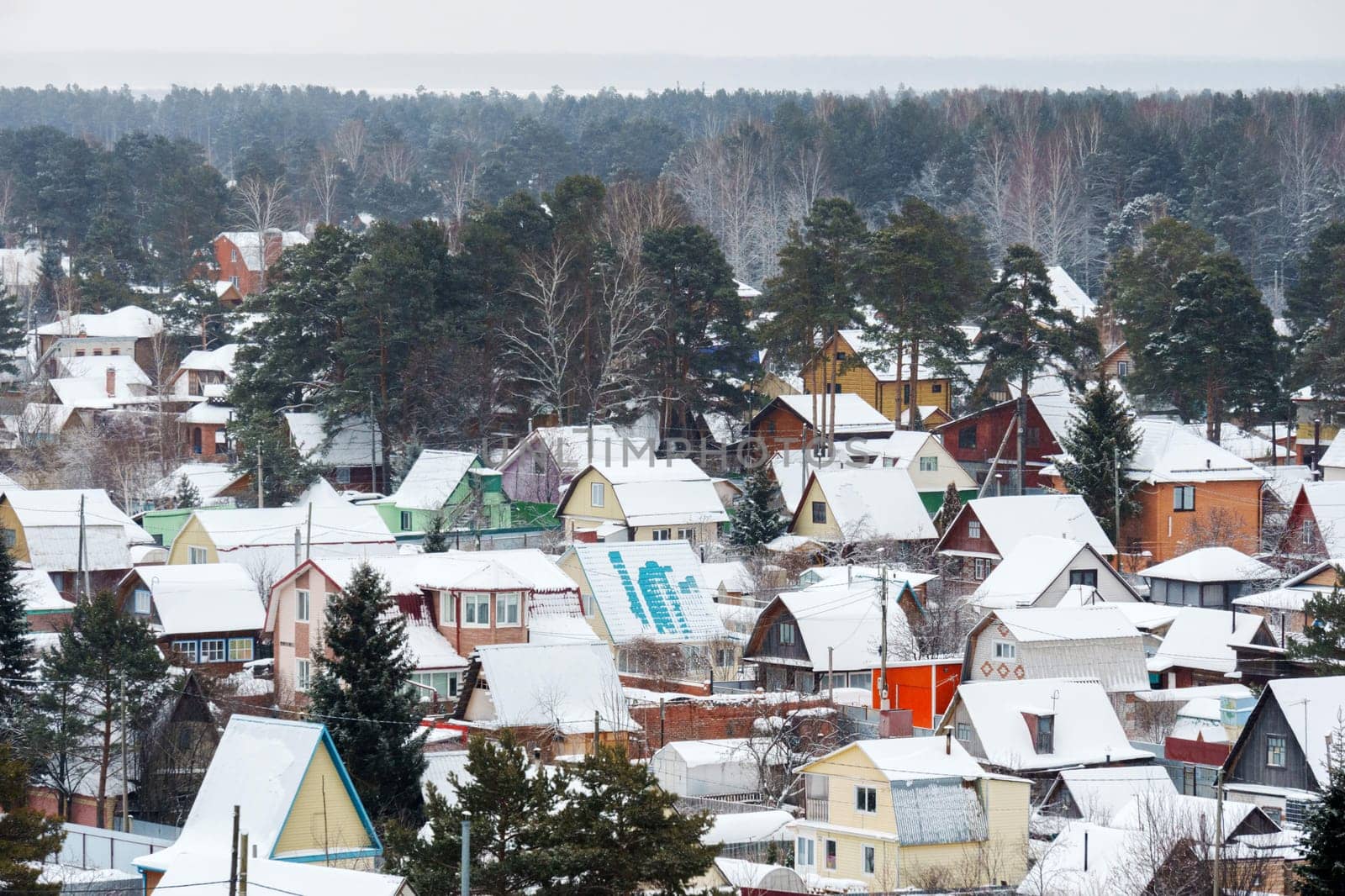 Winter wonderland in a peaceful snowy village surrounded by pine trees and serene tracks