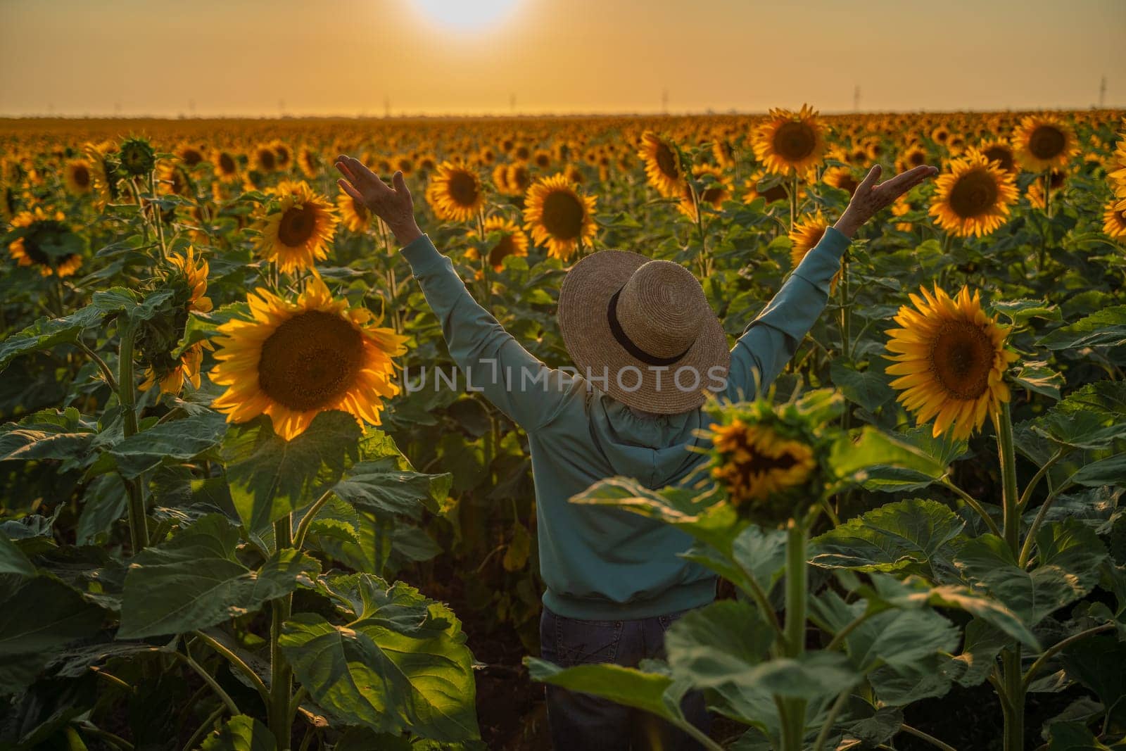 Woman in hat stands in a sunflower field at sunset, arms raised, enjoying the golden light. Bright yellow flowers surround her.