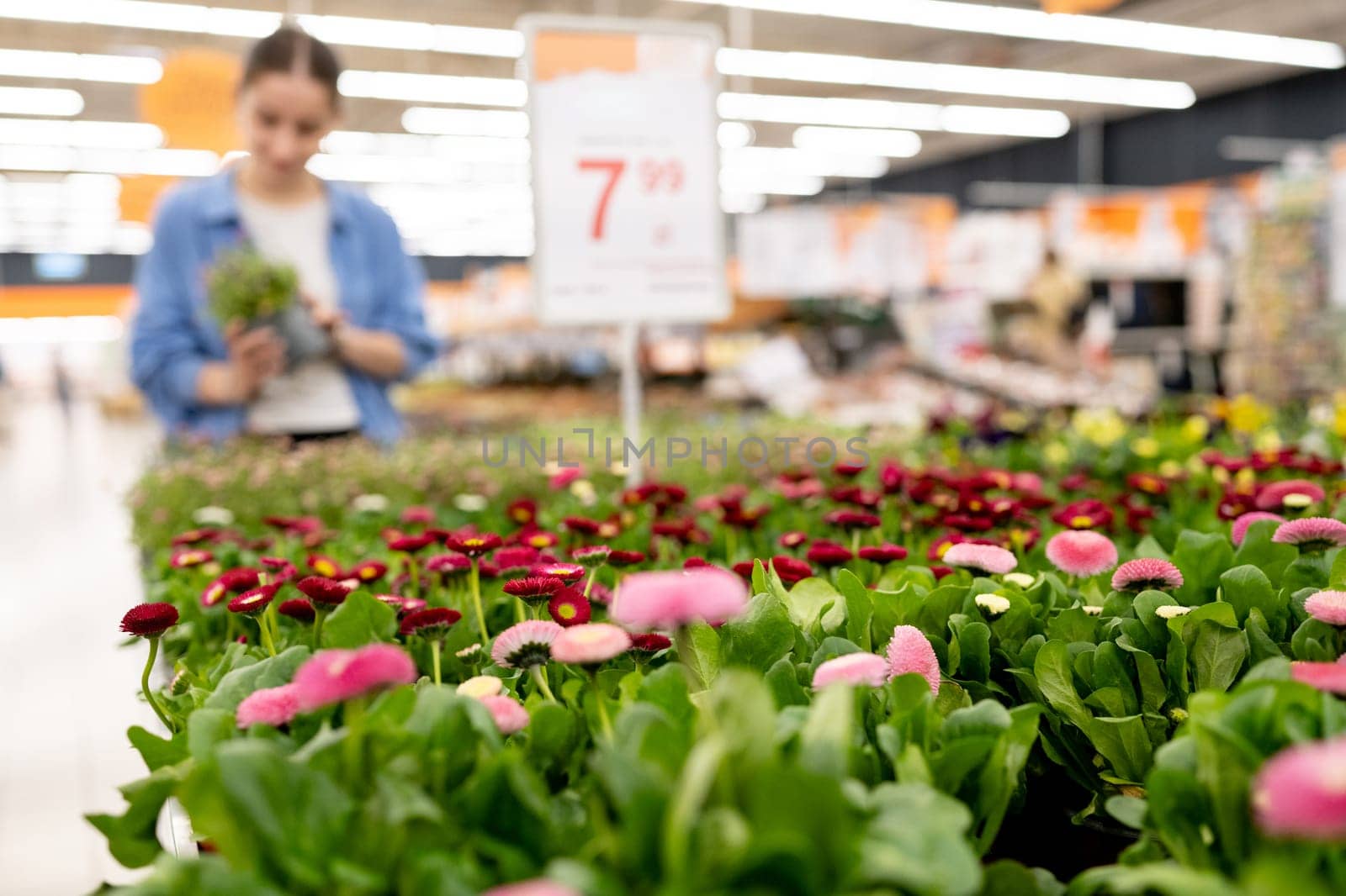 Girl Choosing Potted Flowers In Supermarket