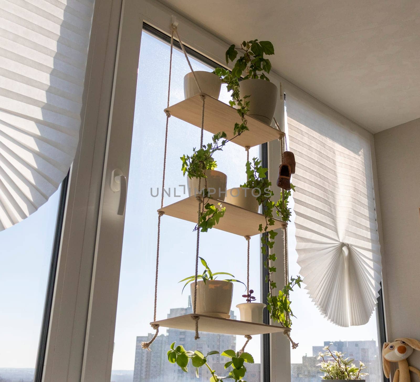 Shot of the indoor plant on the windowsill on decorative shelf