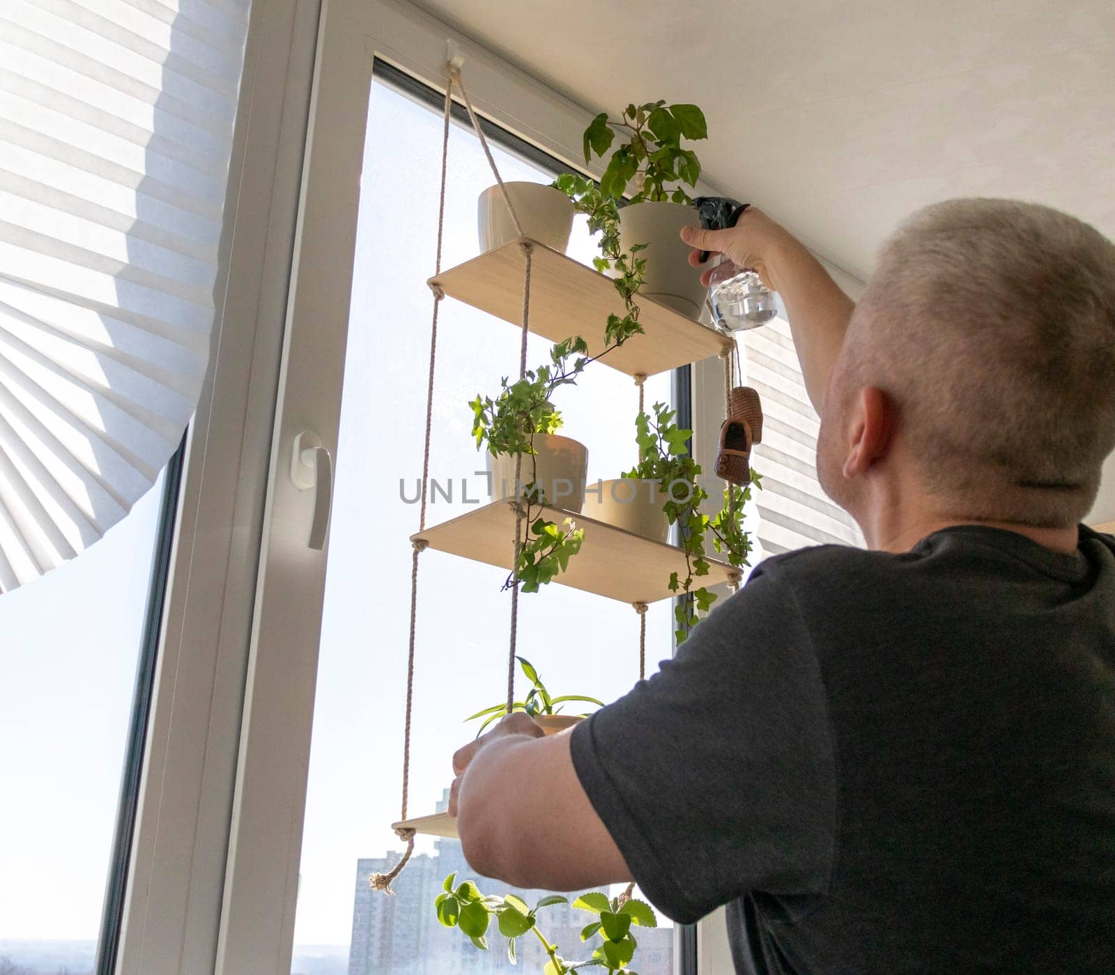 Man spraying indoor plants on the windowsill on decorative shelf