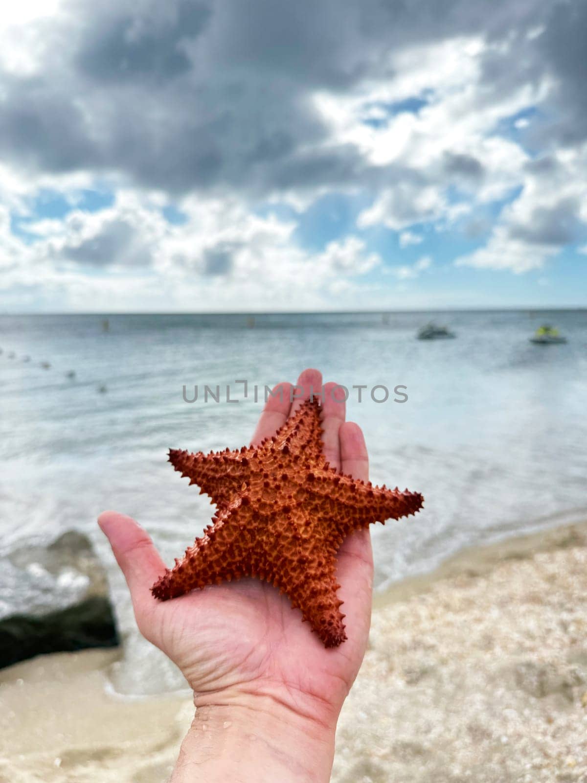 Close-up of a hand holding a red starfish by the shore, with ocean waves and dramatic clouds over a tropical beach in the background.