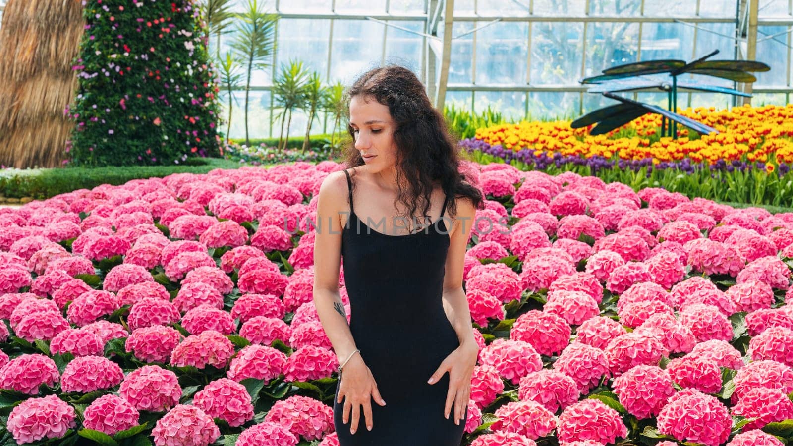 beautiful young woman florist gardener poses in greenhouse in garden with blooming pink hydrangea flowers in summer