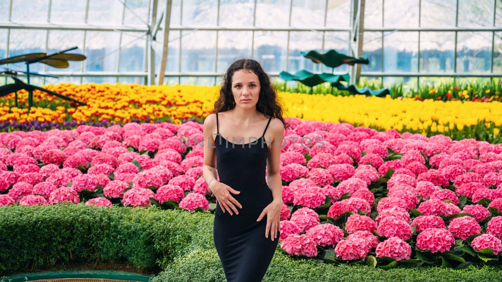 beautiful young female florist poses in a greenhouse in garden with blooming pink hydrangea flowers in spring