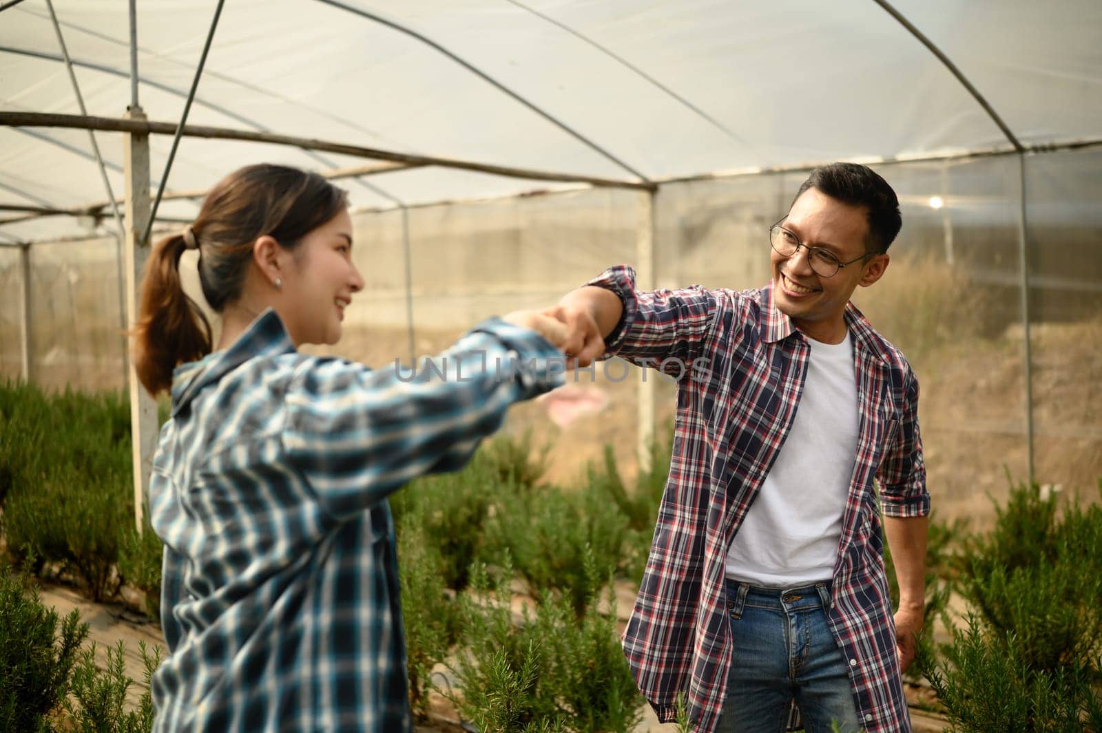Happy asian farmers sharing a fist bump in a greenhouse farm.
