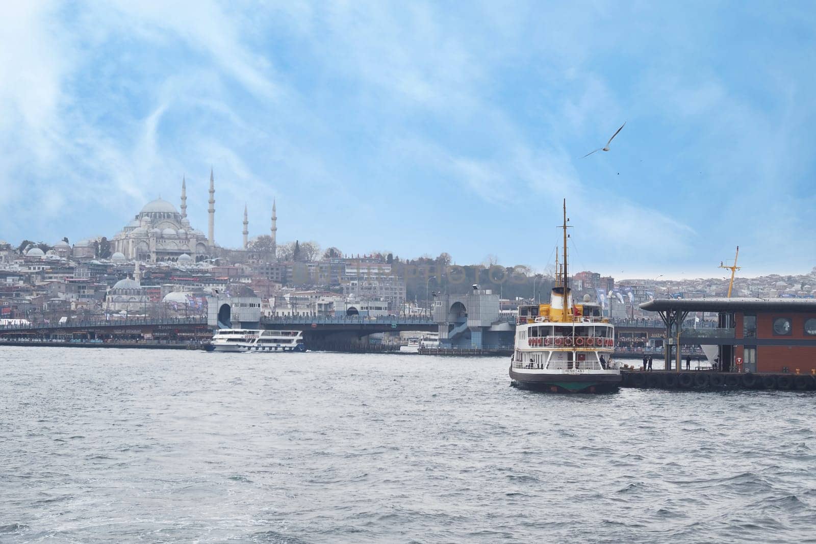A ferry cruises across the Bosphorus with a historic skyline nearby.