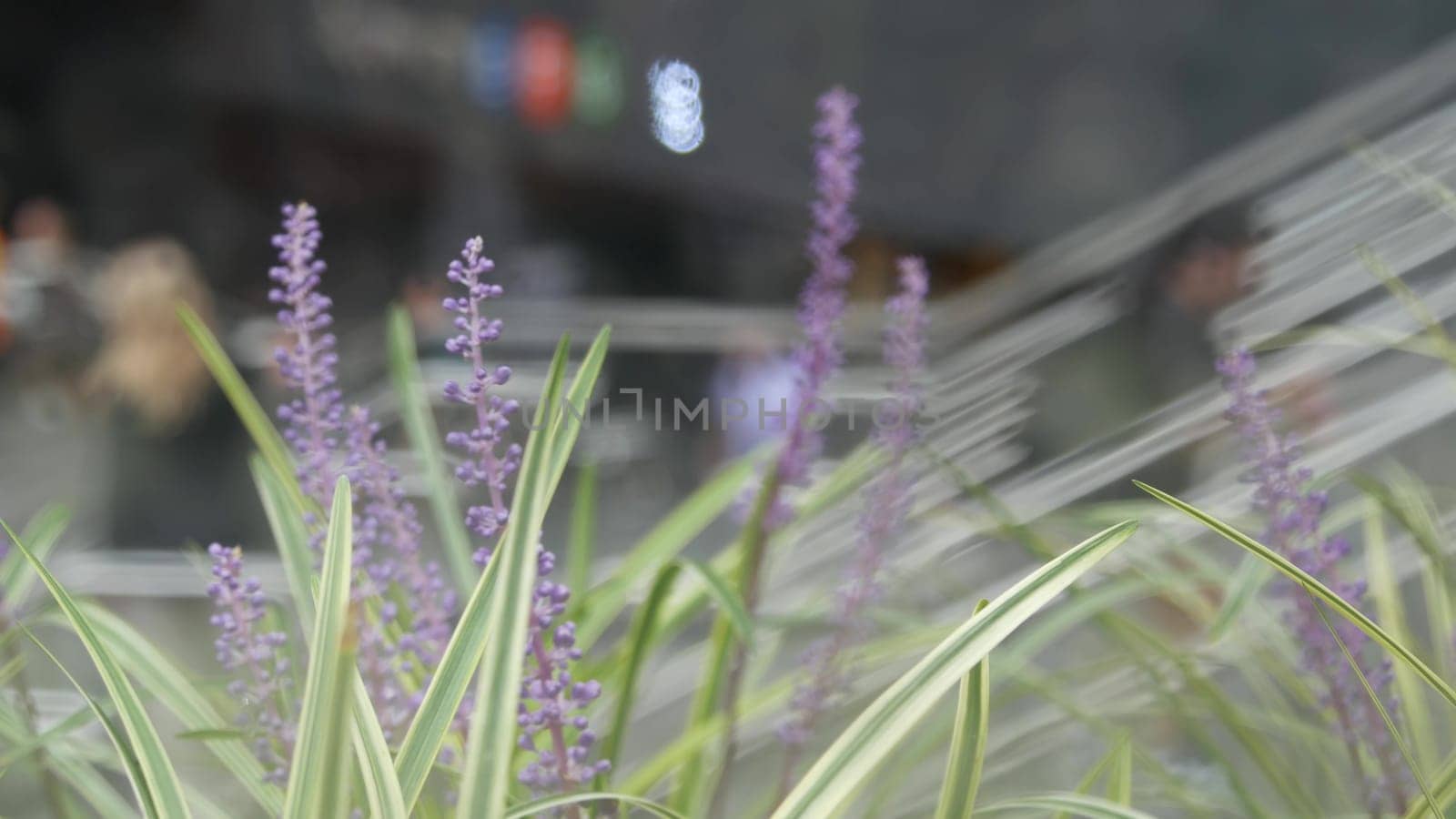 New York City, United States - 11 Sept 2023: Manhattan Midtown Lexington avenue, United States. Defocused people pedestrian, underground metro subway station, stairs on 53 street, urban USA. Greenery.
