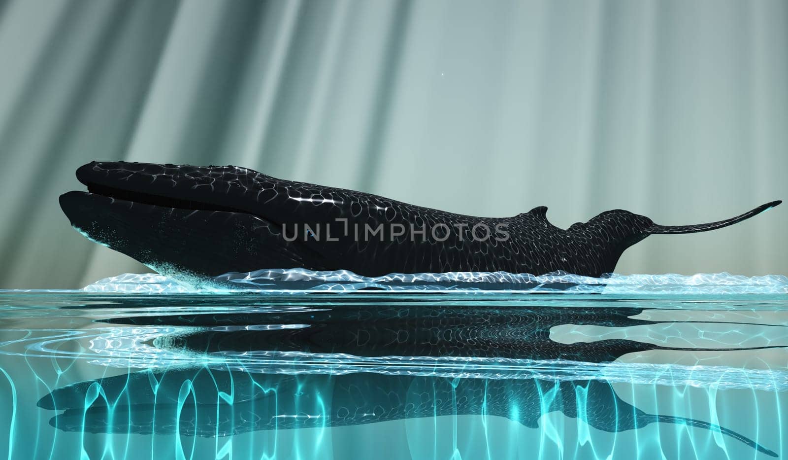 The Humpback Whale is an acrobatic animal known for breaching the surface and slapping the water with its fins and tail.