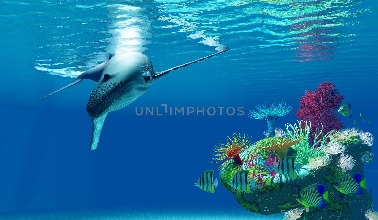 A Humpback Whale dives near a tropical ocean reef full of Copperband Butterflyfish and Royal Angelfish.